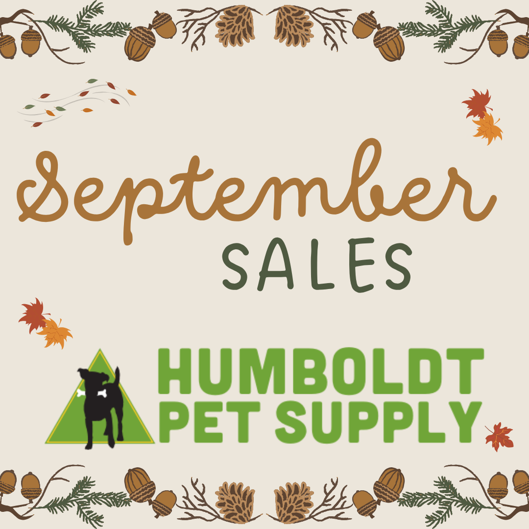 September Sales