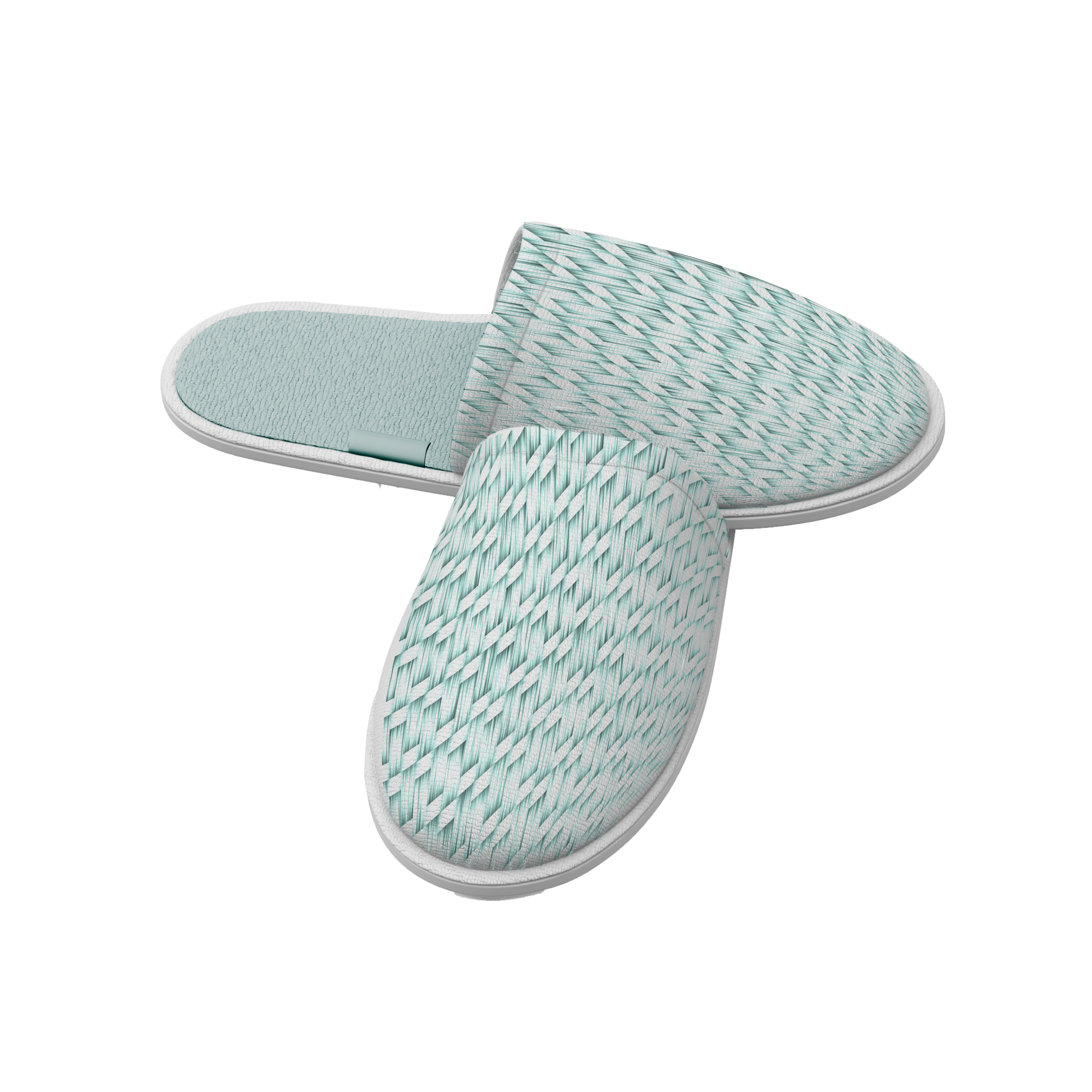 blue slippers.png