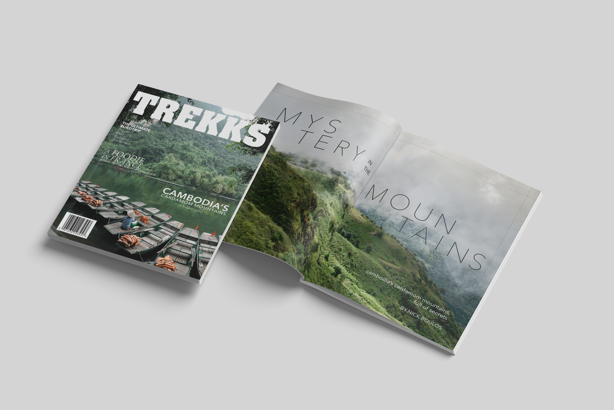 cover and spread mockup.png