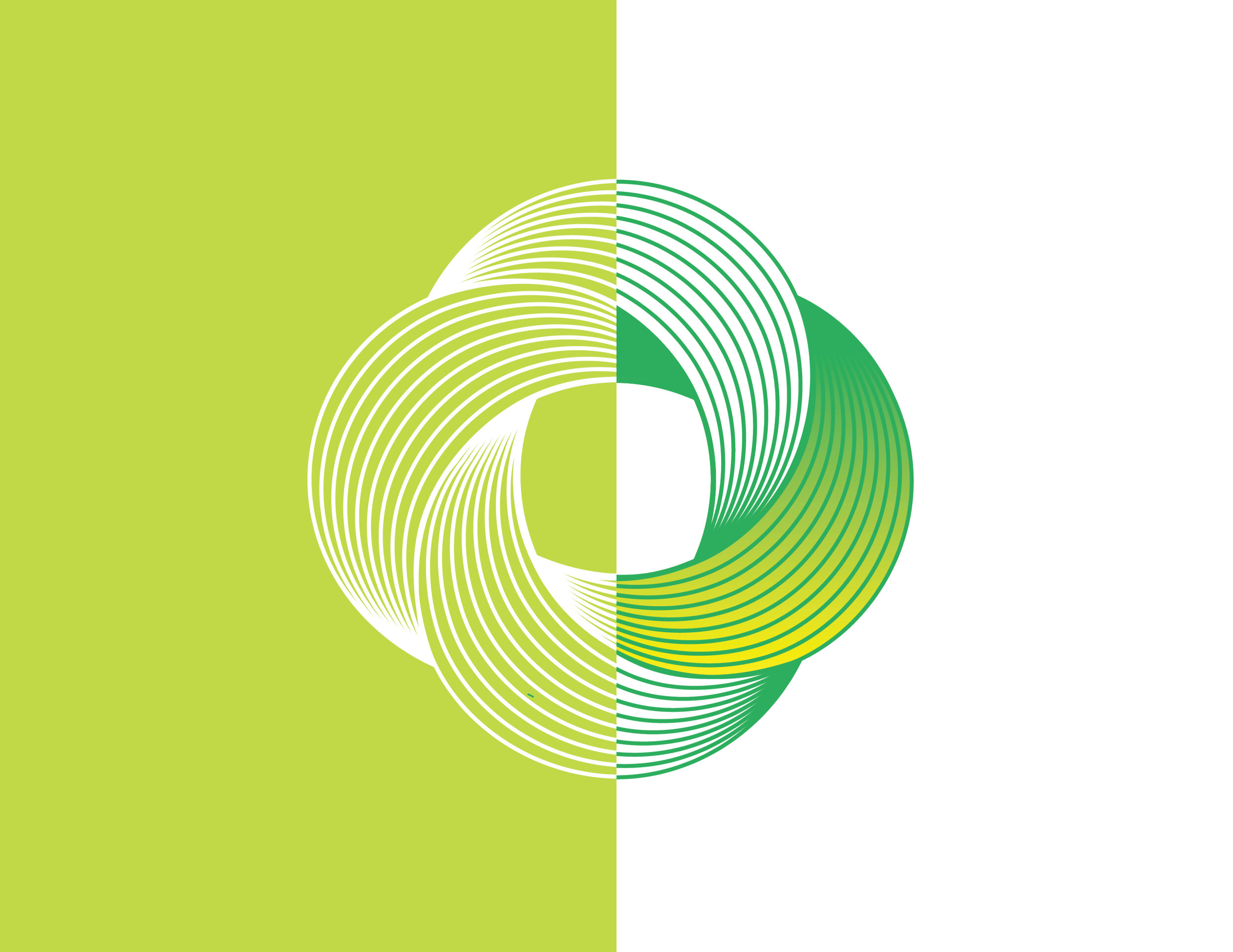 green 3.jpg