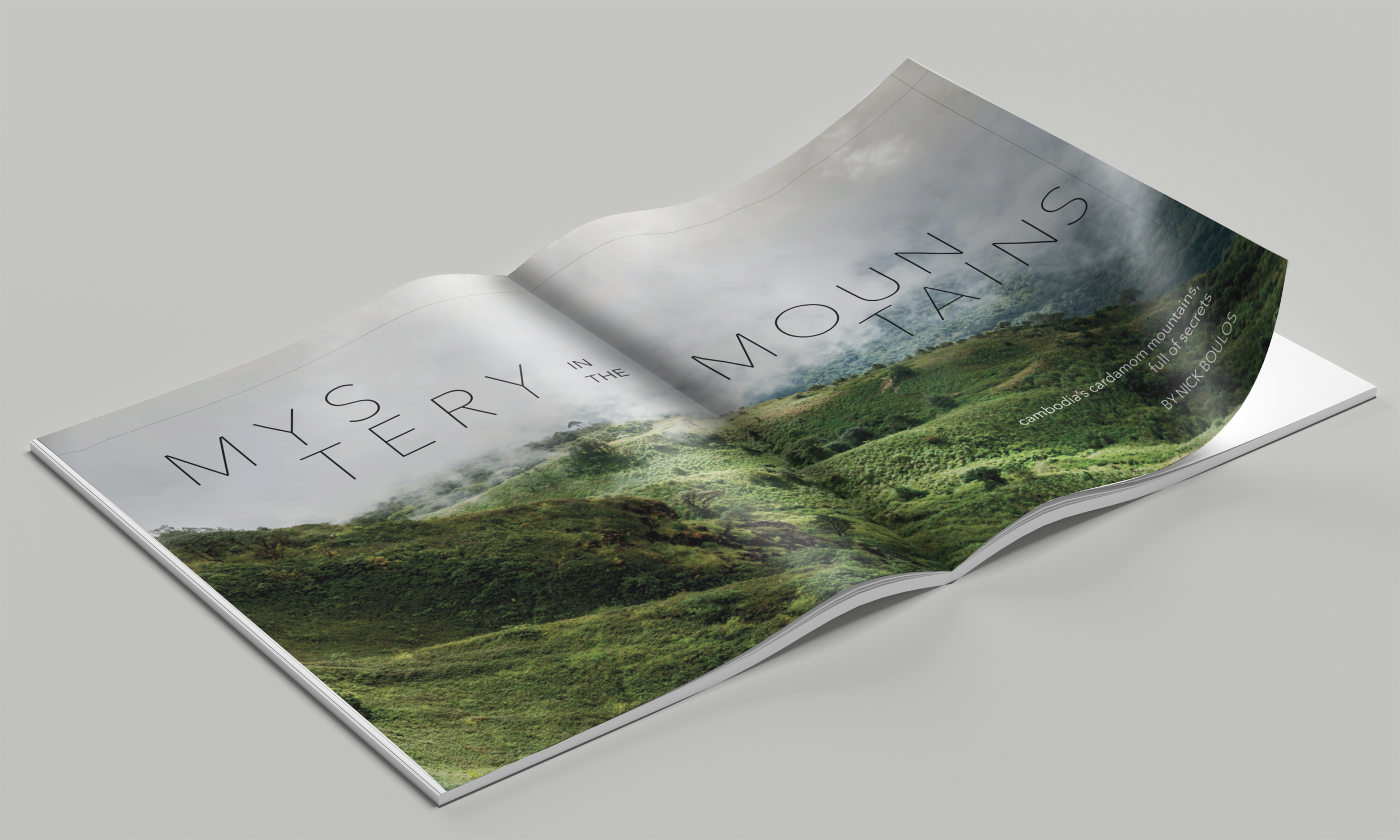 spread mockup.png