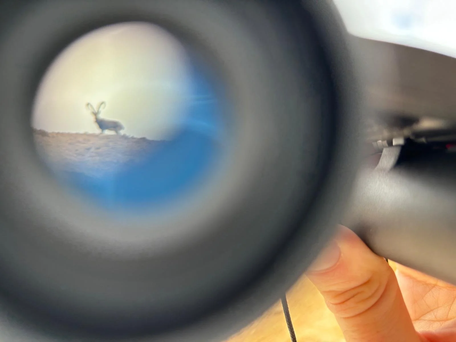 WhatsApp Image 2025-07-17 at 15.29.43 (1).jpeg