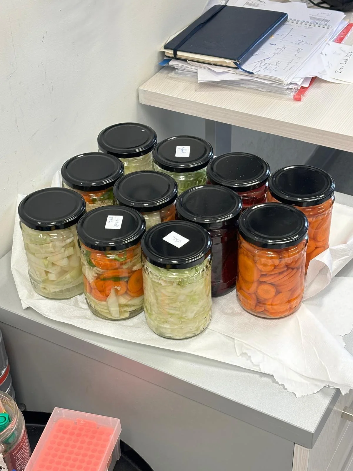 WhatsApp Image 2025-07-17 at 15.29.37.jpeg