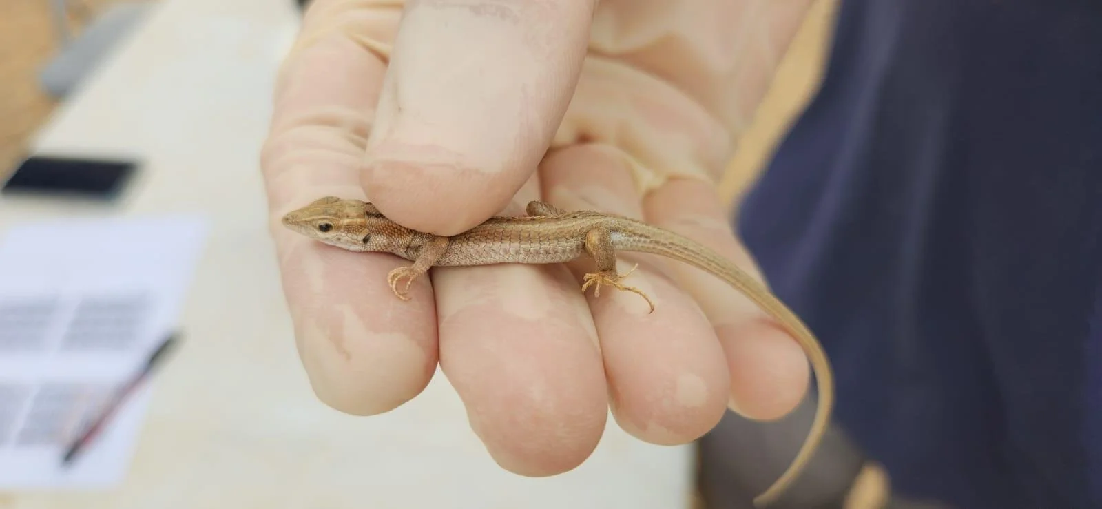 WhatsApp Image 2024-10-31 at 16.18.47.jpeg