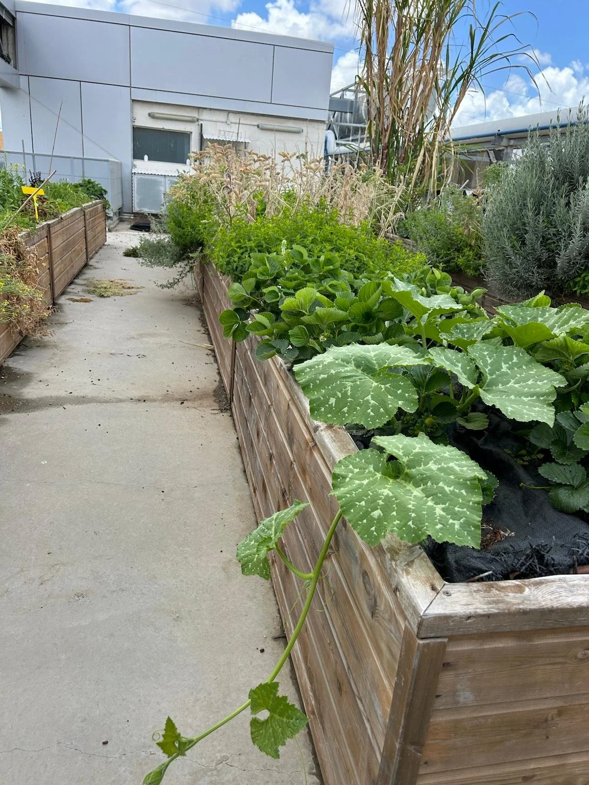 WhatsApp Image 2024-10-31 at 16.52.53.jpeg