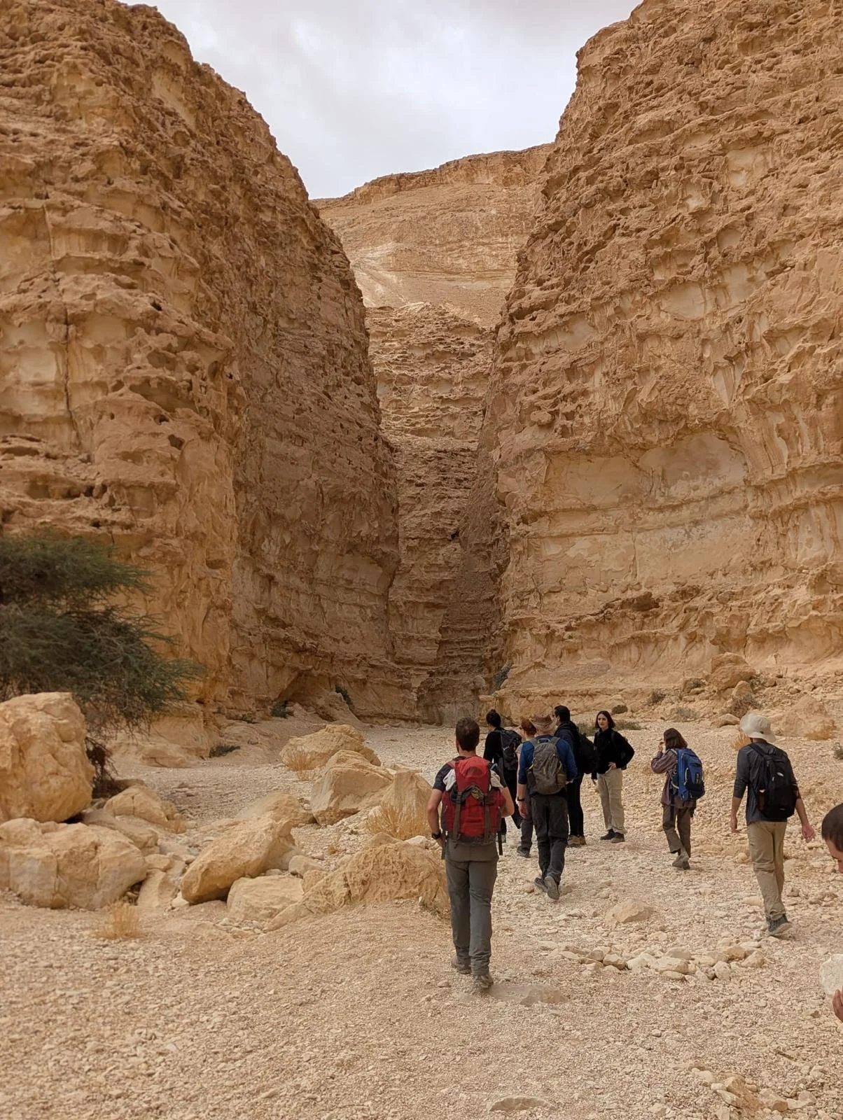 WhatsApp Image 2025-07-17 at 15.29.26.jpeg