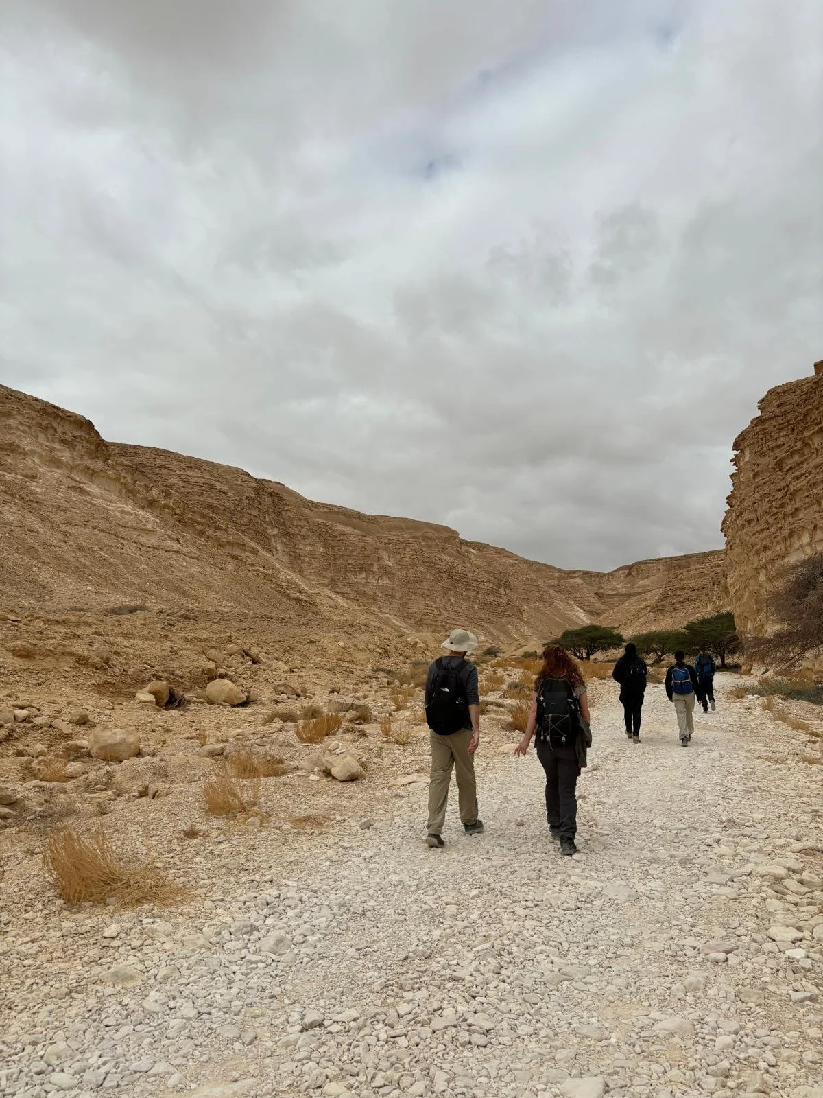 WhatsApp Image 2025-07-17 at 15.29.42 (1).jpeg