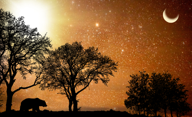 Of Folklore and Fire; A starlit journey into the heart of summer solstice myth, ritual and magick
