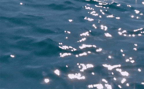 tumblr_m8pd6uijos1qgawlzo1_500.gif