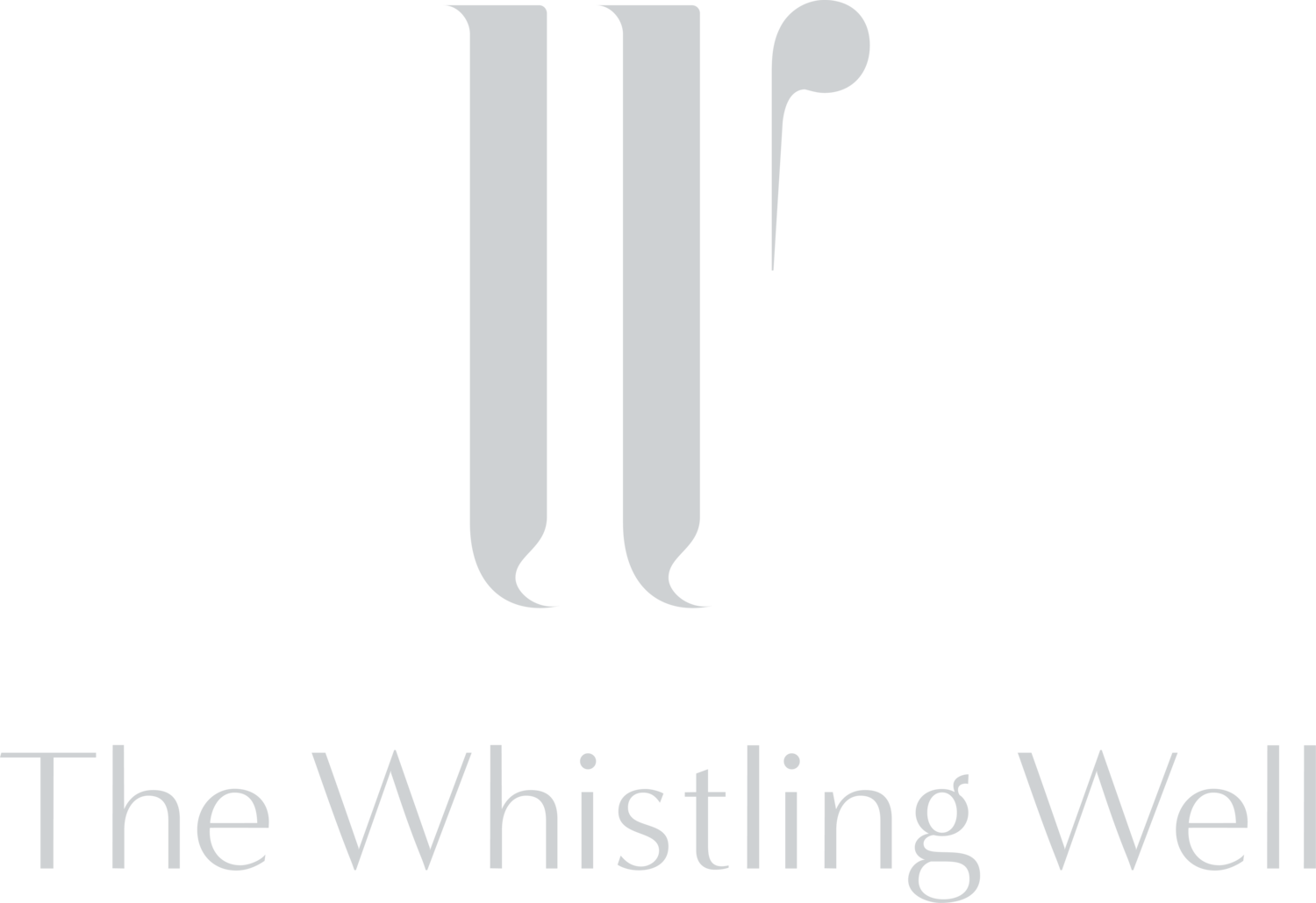The Whistling Well  - KonMari Consulting, Professional Organizing, Interior Design &amp; Architecture, Intentional Space Making