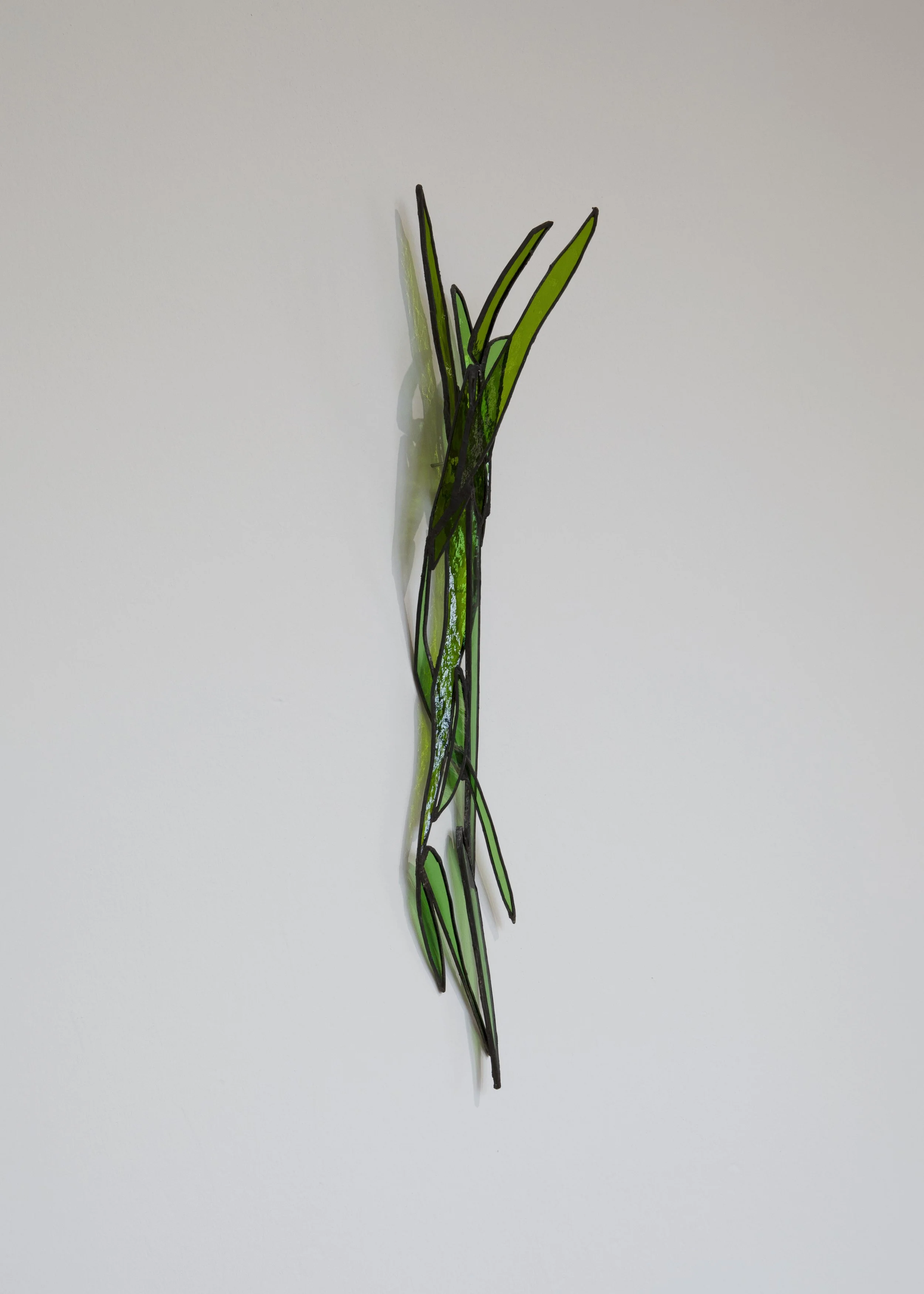62_AvantGardener_NaughtonGallery_PhotographerJanMcCullough_April2026_LOWRES.jpg
