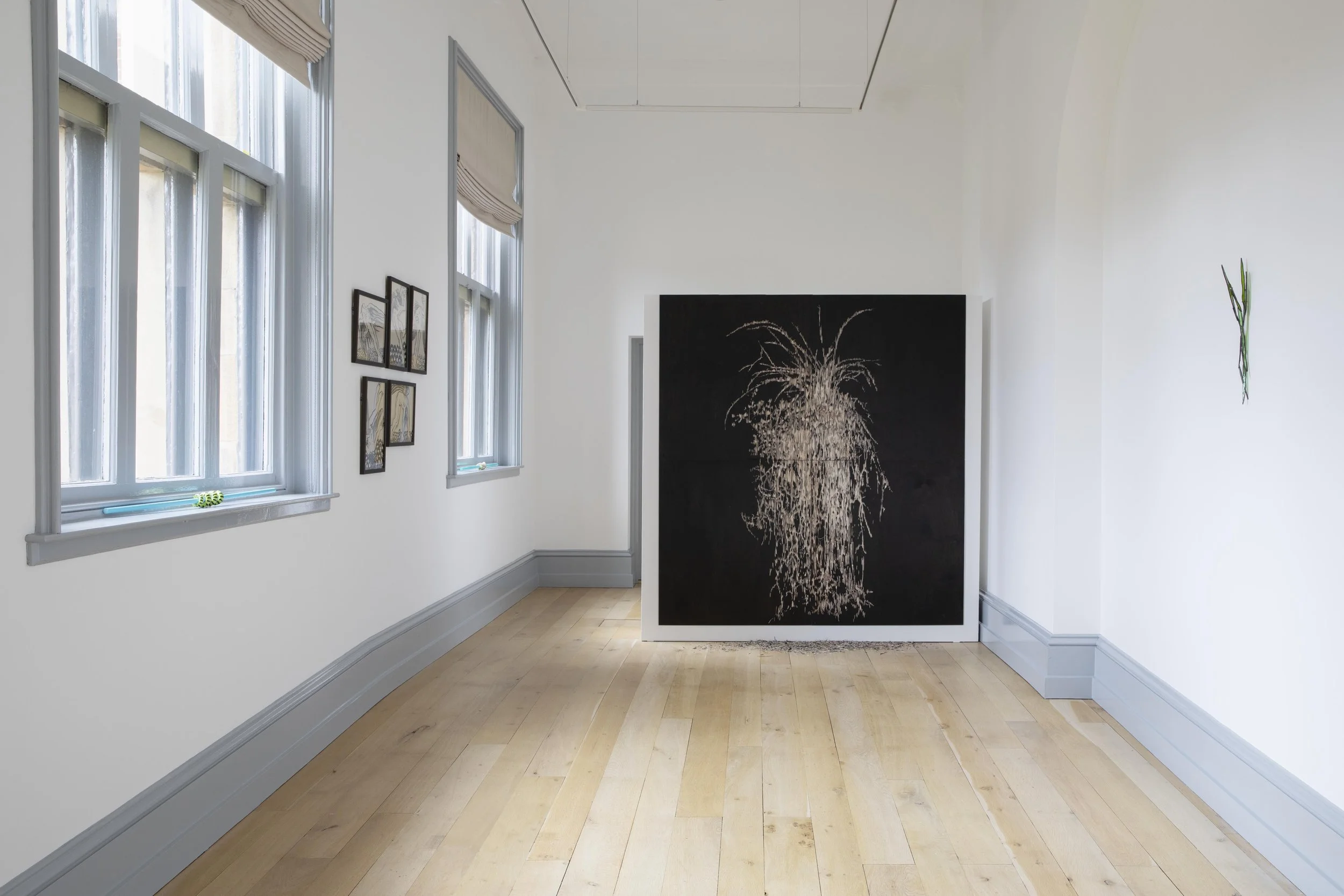 44_AvantGardener_NaughtonGallery_PhotographerJanMcCullough_April2026_LOWRES.jpg