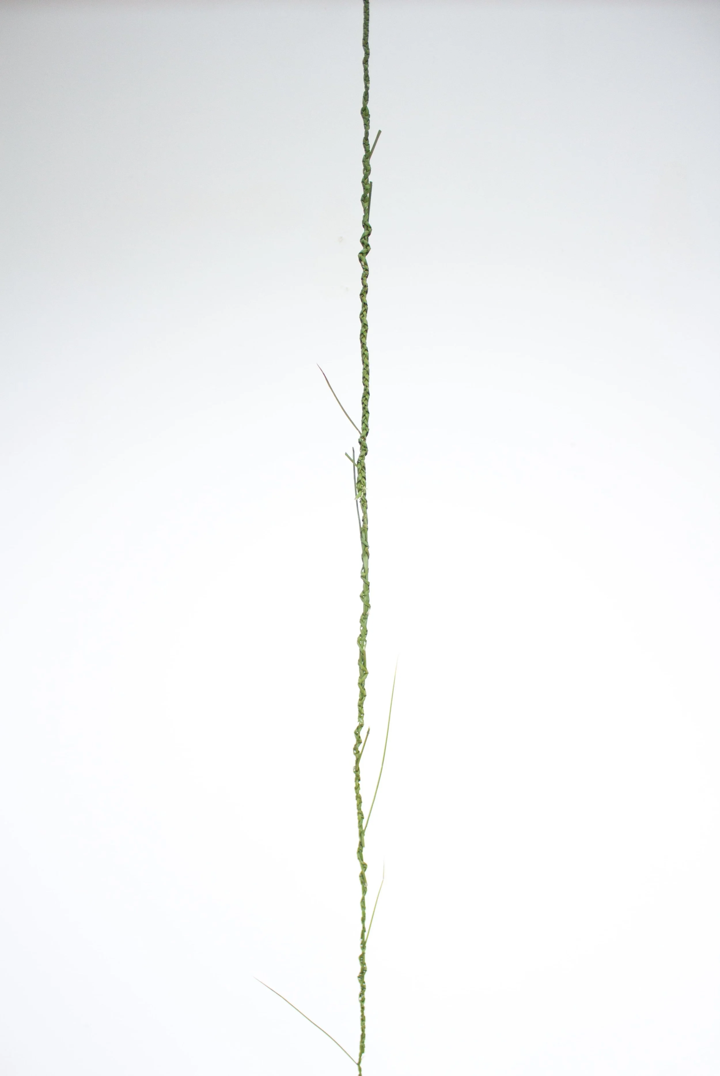 A Fragile Line
