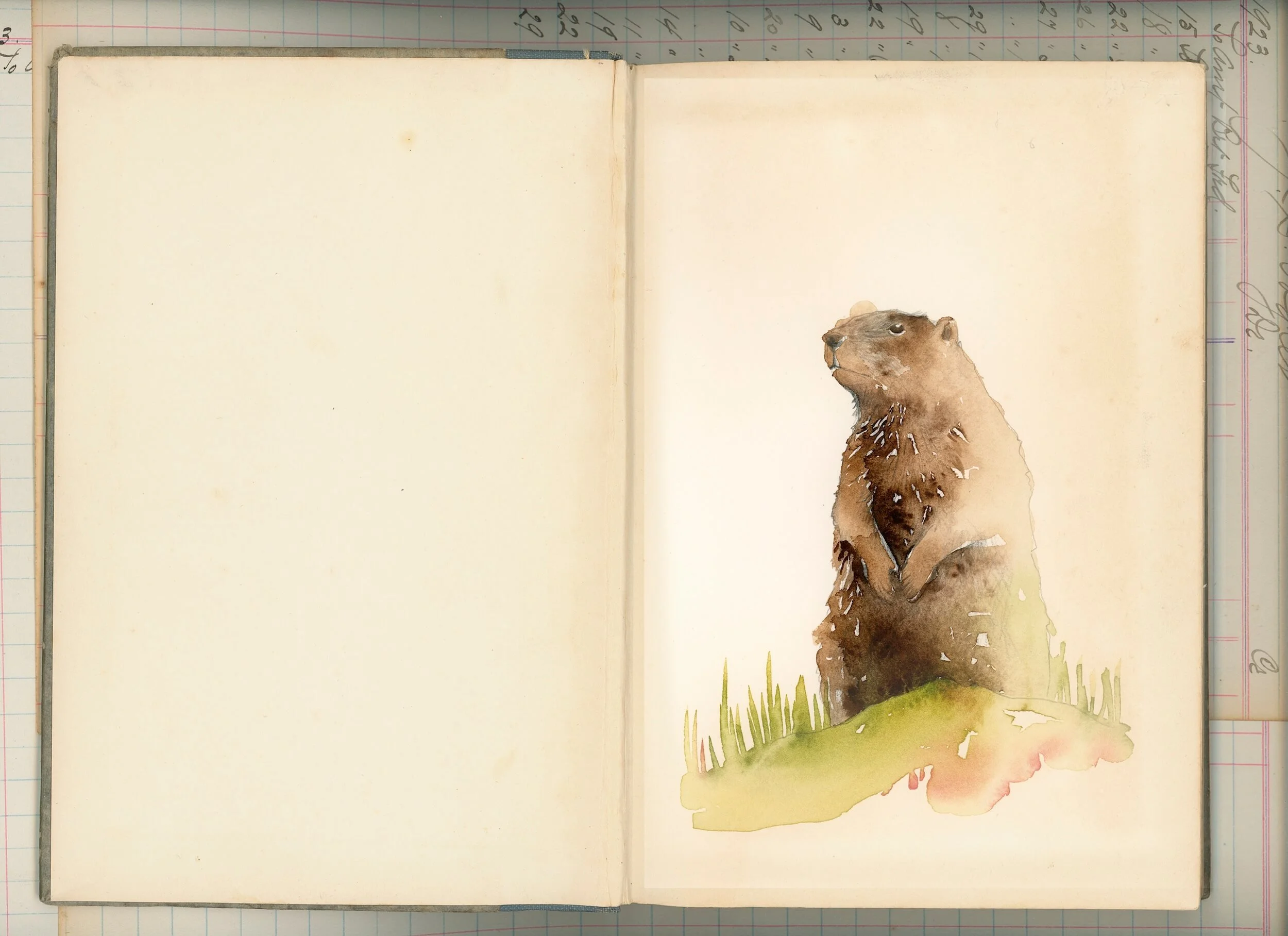 Should you work with an editor on your family history?