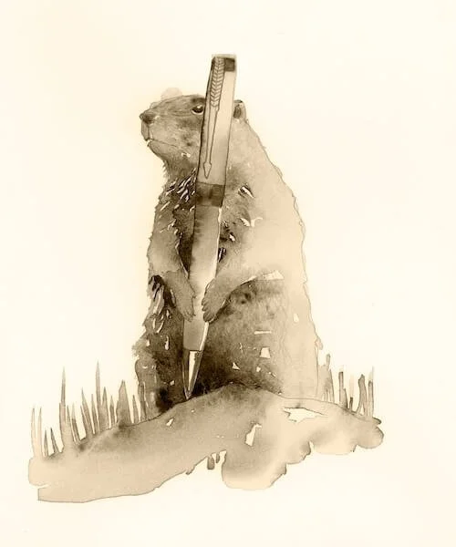 Illustration of gopher holding a pen scene and summary