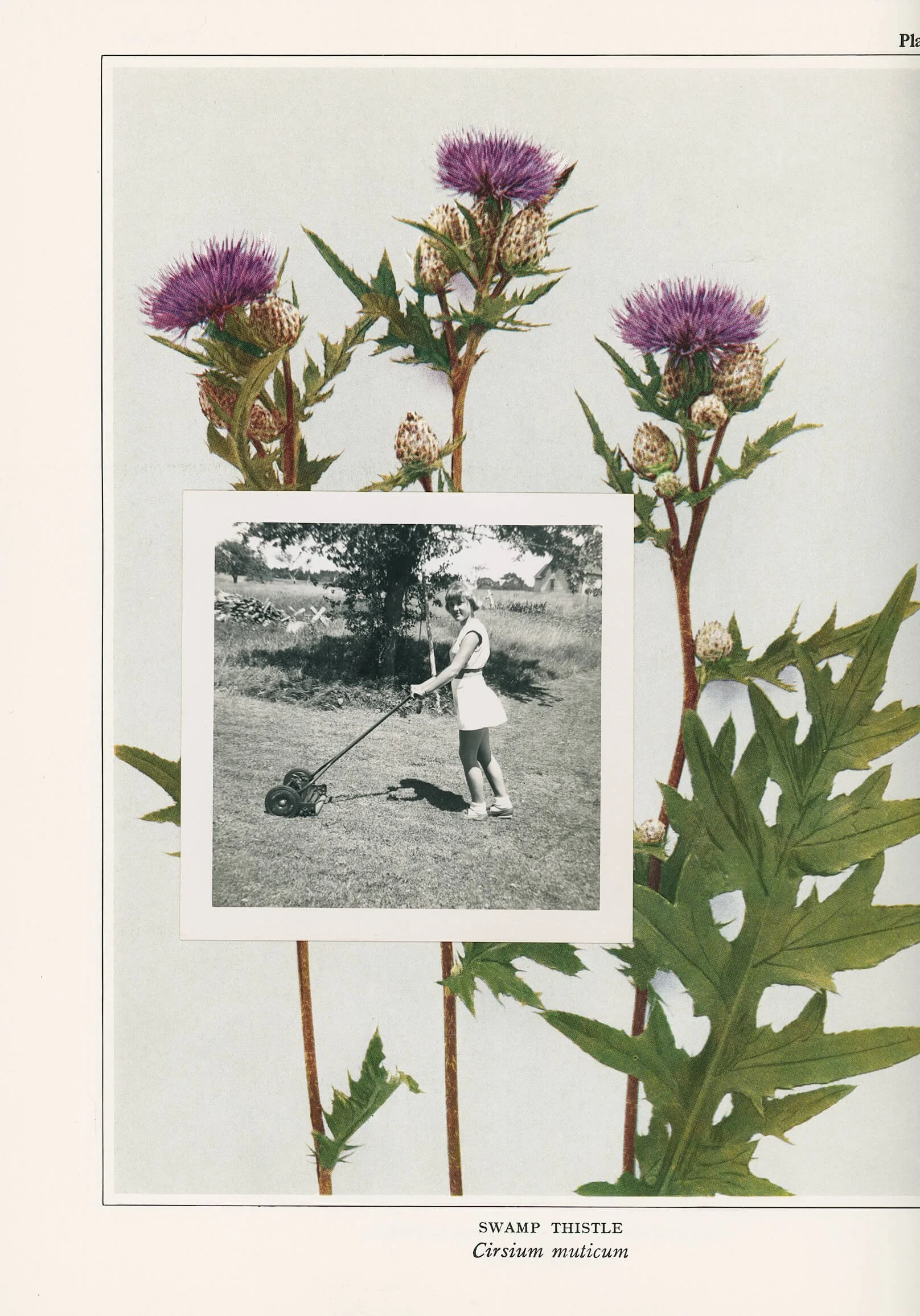 black and white photo of young woman pushing lawnmower with flowers in background