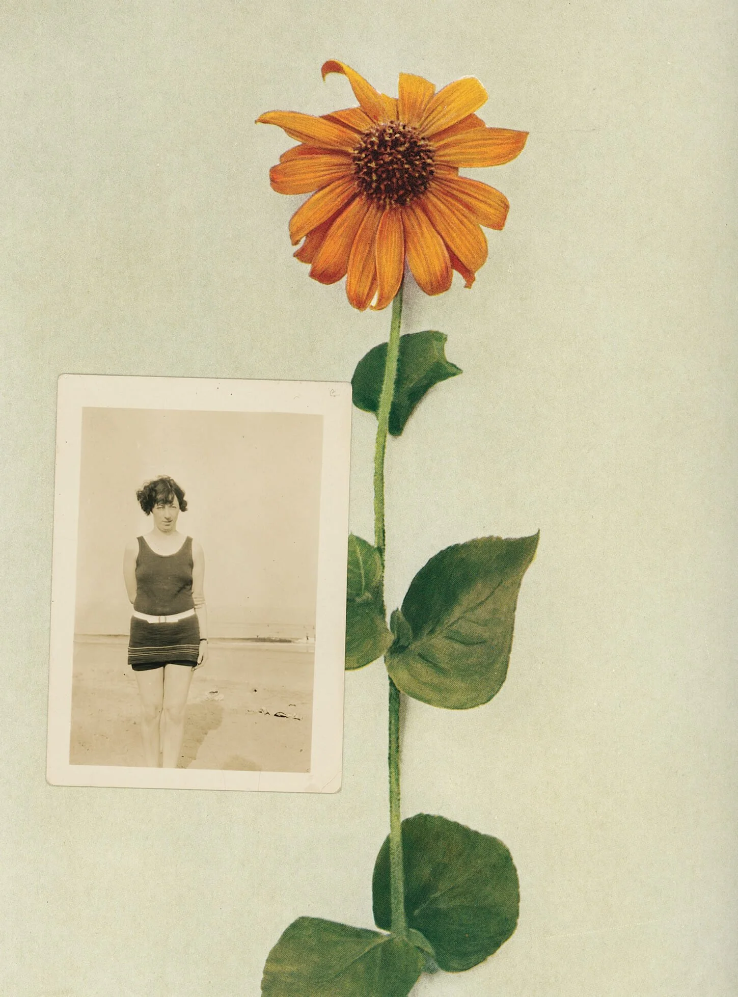 yellow flower and old photograph of woman on beach
