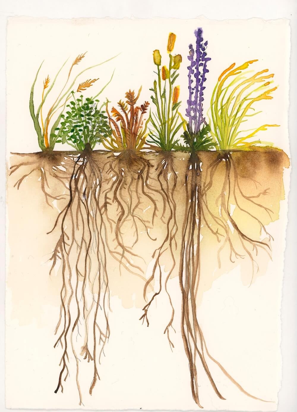 Roots and flowers for developmental editing service