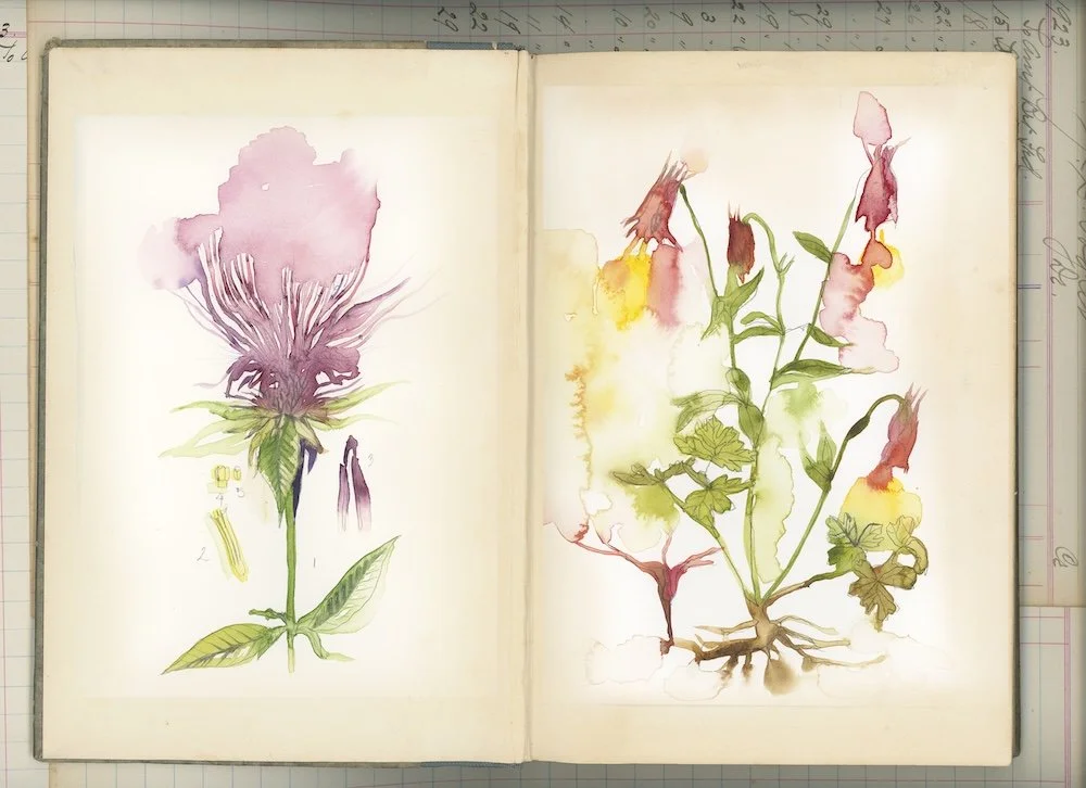 Creative Roots Editorial Services Mini Edits