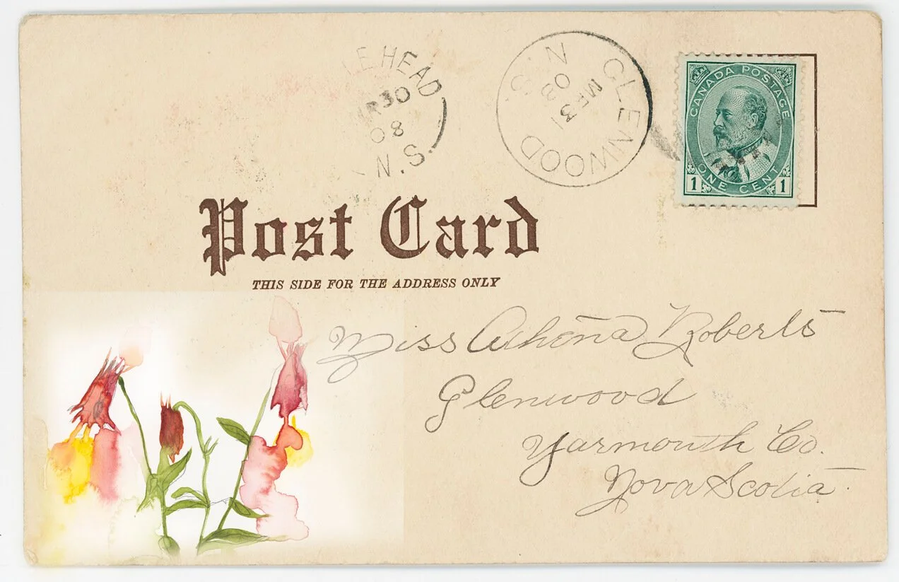 historic postcard with painted columbine