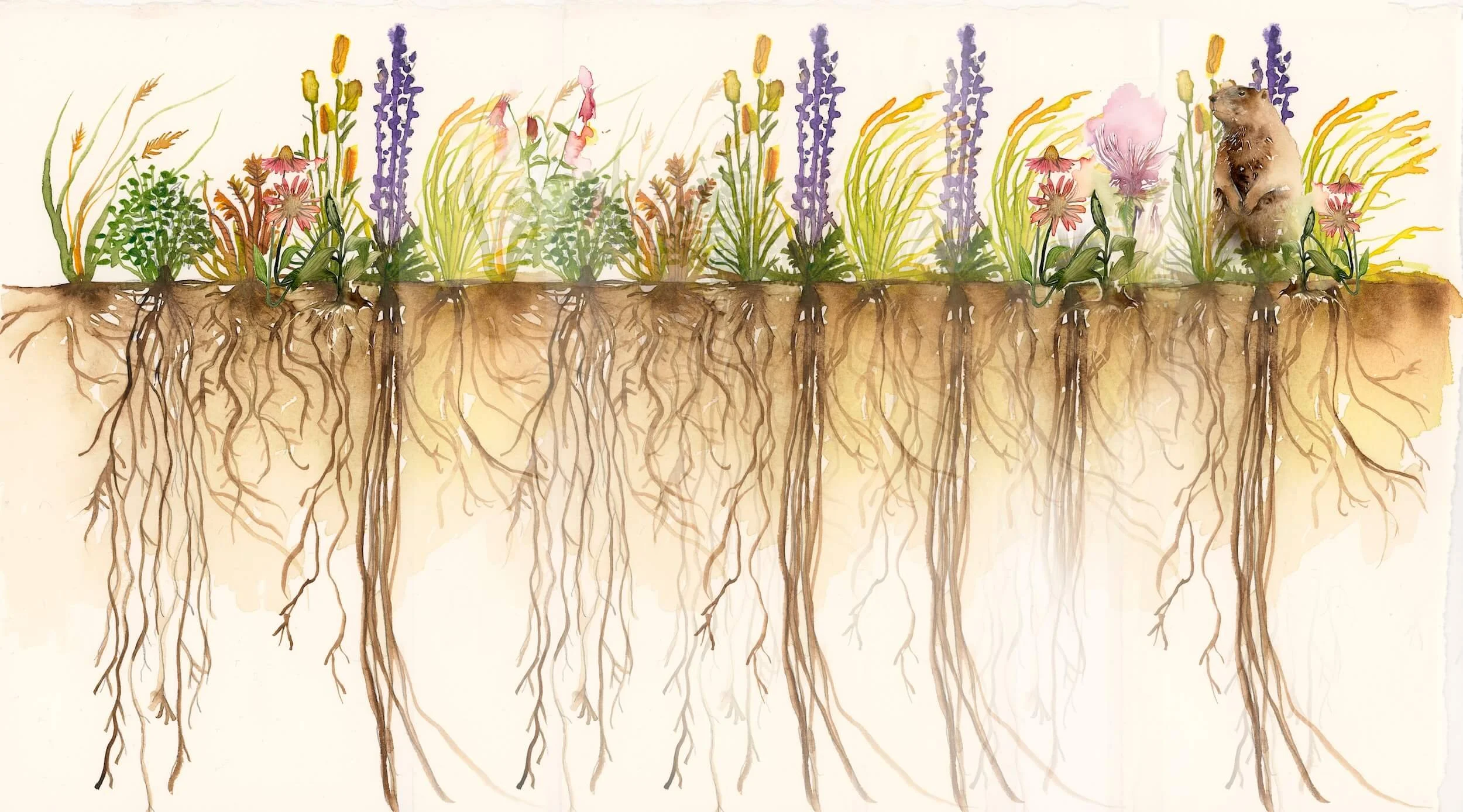 painting of roots and flowers digging into a developmental edit