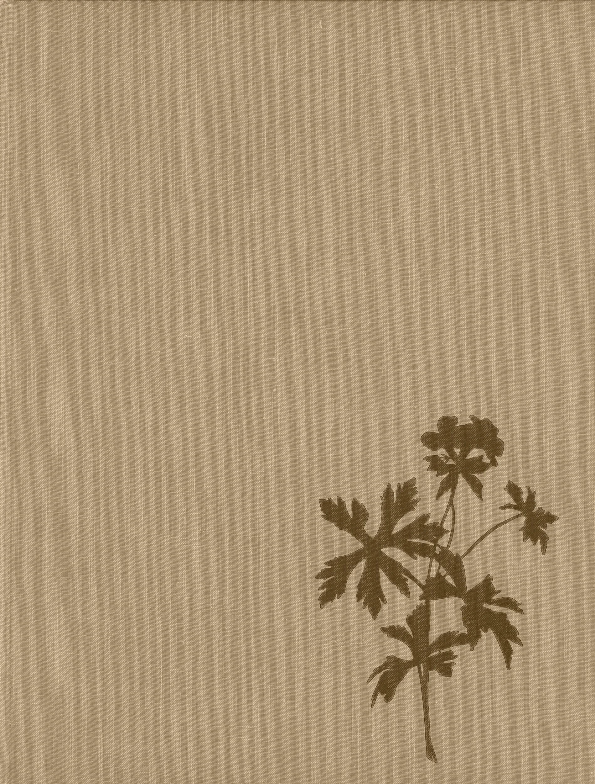 Old textured book cover with flower