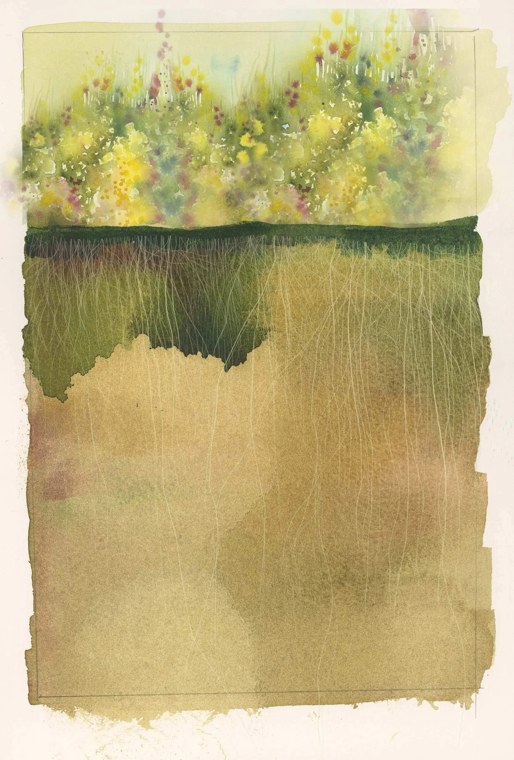 wildflowers and roots painted on old document what is book coaching good for