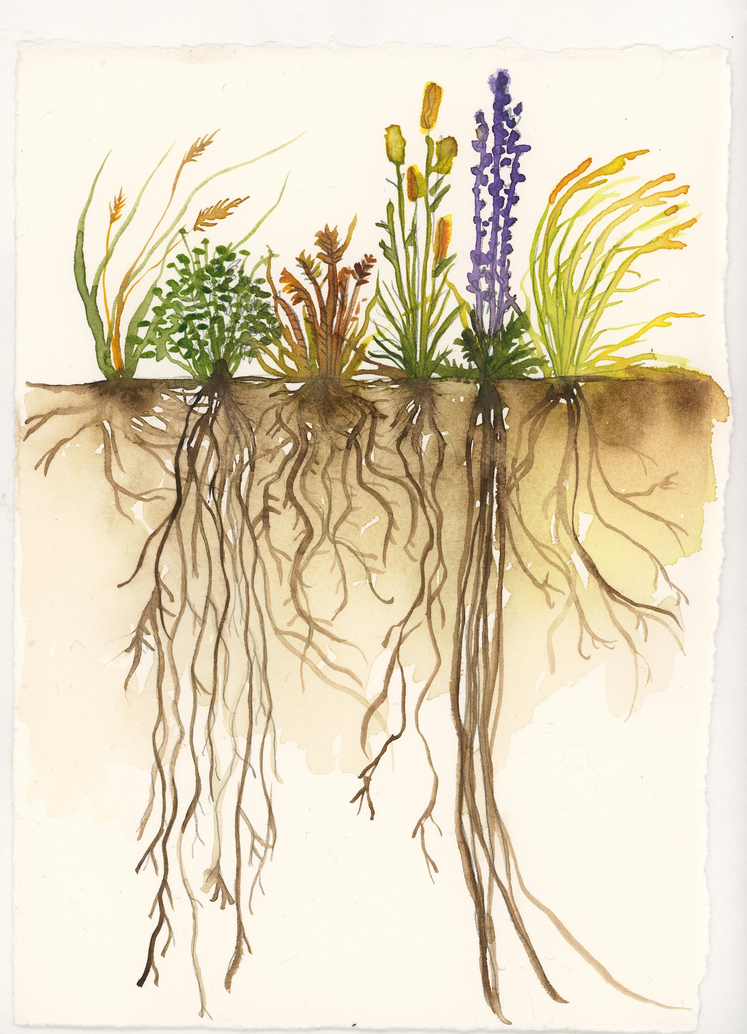 Creative Roots Editorial Services Mini Edits