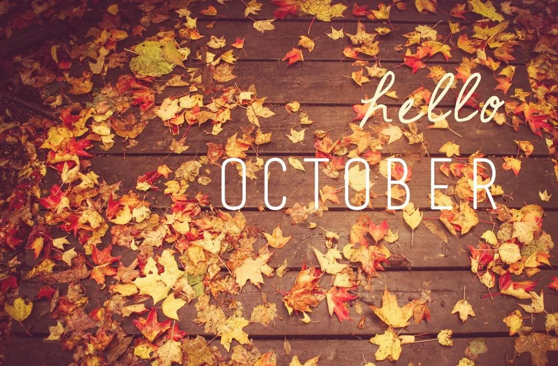 🍂🏡 𝐇𝐄𝐋𝐋𝐎 𝐎𝐂𝐓𝐎𝐁𝐄𝐑! 🏡🍂

Thinking about putting your property on the market? 👀

📅 𝐍𝐎𝐖 𝐈𝐒 𝐓𝐇𝐄 𝐓𝐈𝐌𝐄!

Whether you&rsquo;re thinking of moving before Christmas 🎄 or planning ahead for the months to come, getting your property