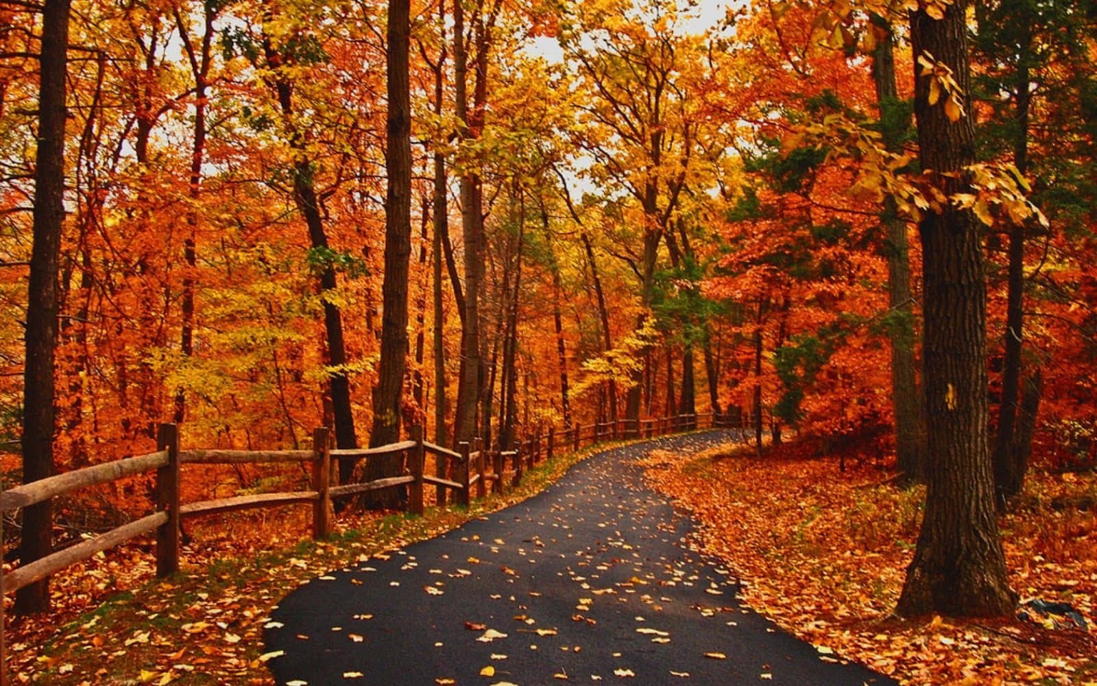 🍂🏡 𝐇𝐄𝐋𝐋𝐎 𝐎𝐂𝐓𝐎𝐁𝐄𝐑! 🏡🍂

Thinking about putting your property on the market? 👀

📅 𝐍𝐎𝐖 𝐈𝐒 𝐓𝐇𝐄 𝐓𝐈𝐌𝐄!

Whether you&rsquo;re thinking of moving before Christmas 🎄 or planning ahead for the months to come, getting your property