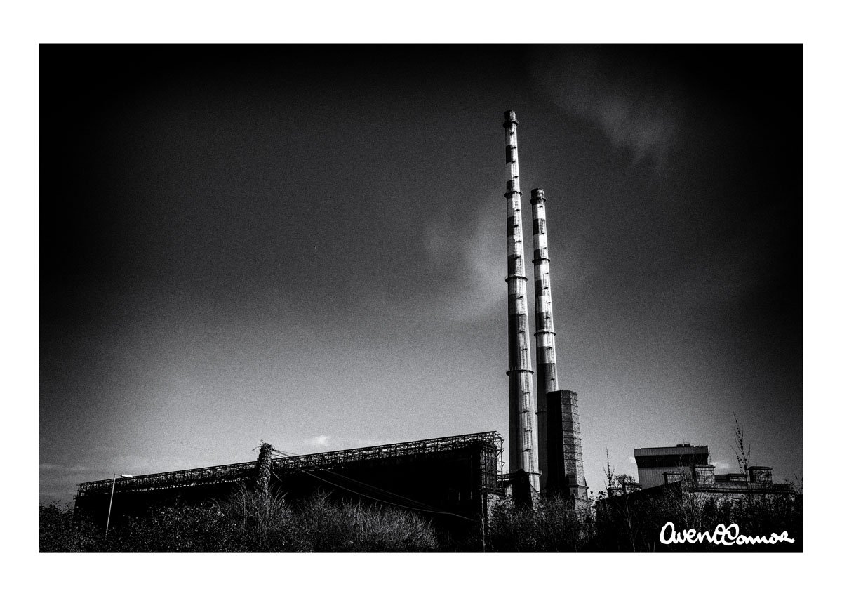 DN11.20170208Fuji_0247BW01.jpg