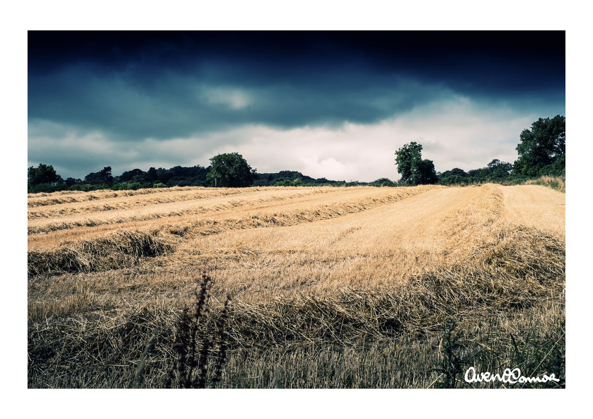 WK01.20130825XPr01_0031
