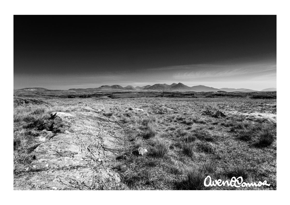 CA63.KF9A8020BW01.jpg