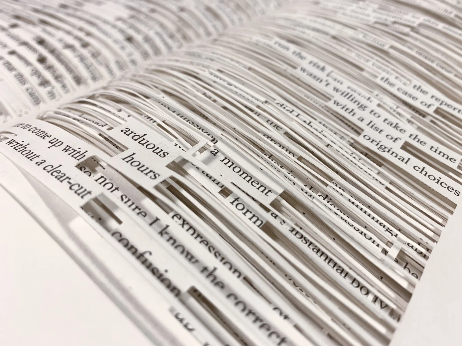 Close up of the book, the lines cut out of the book leave thin horizontal paper strips with words here and there left behind. By autistic Artist and Architect Troels Steenholdt Heiredal