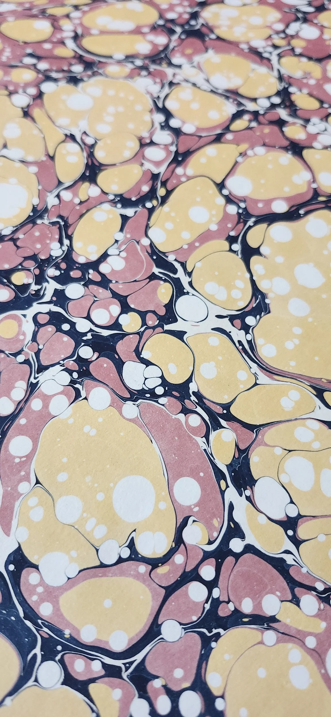 processed_1000018204.jpg