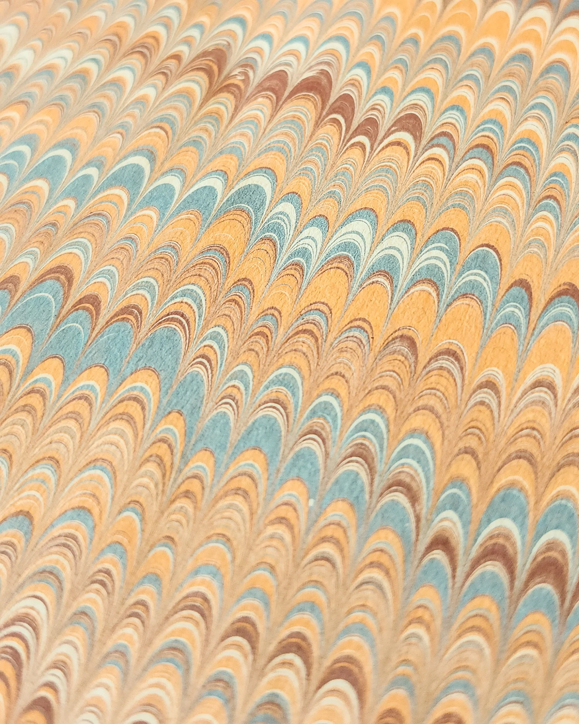1000018250.jpg