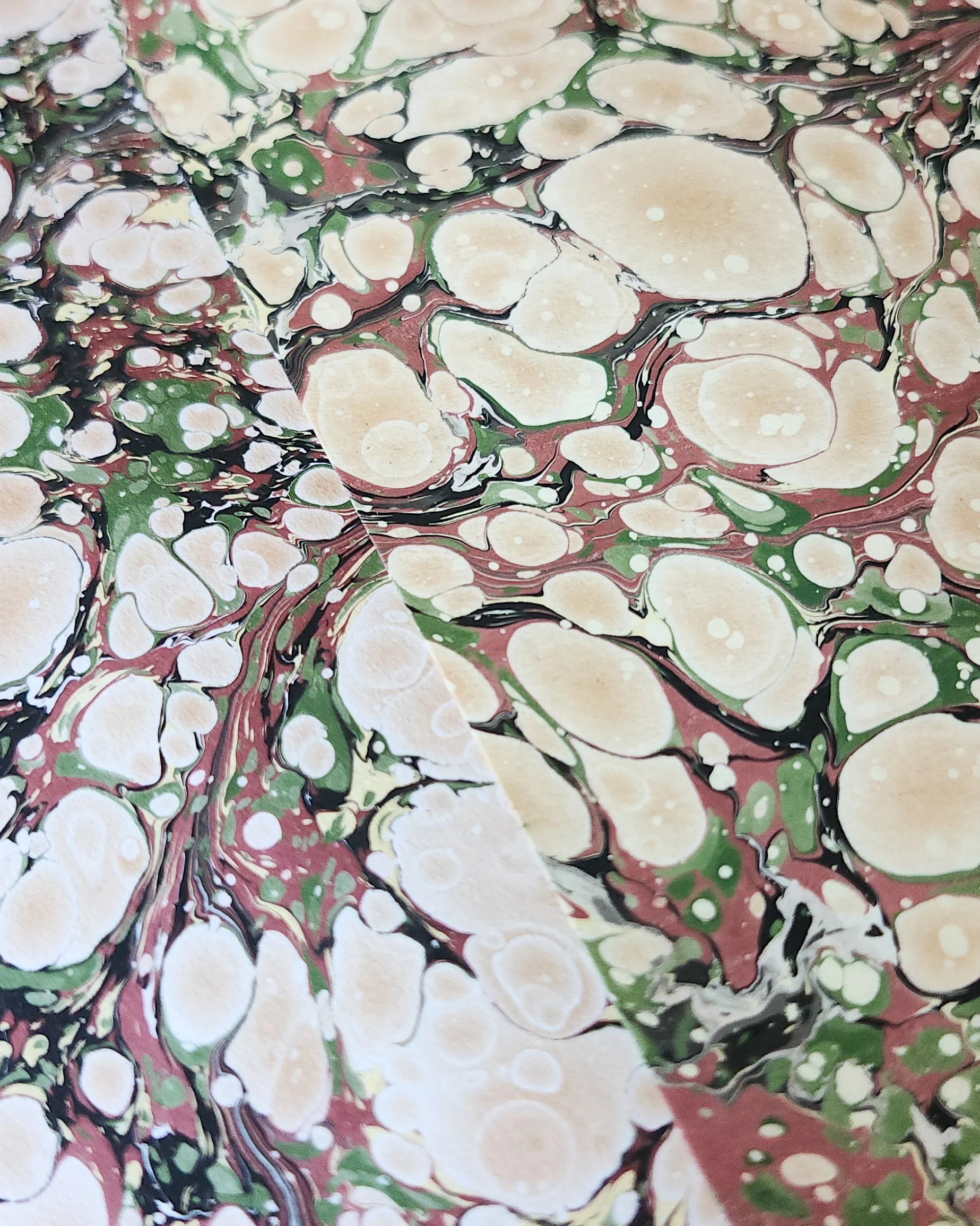 1000018269.jpg