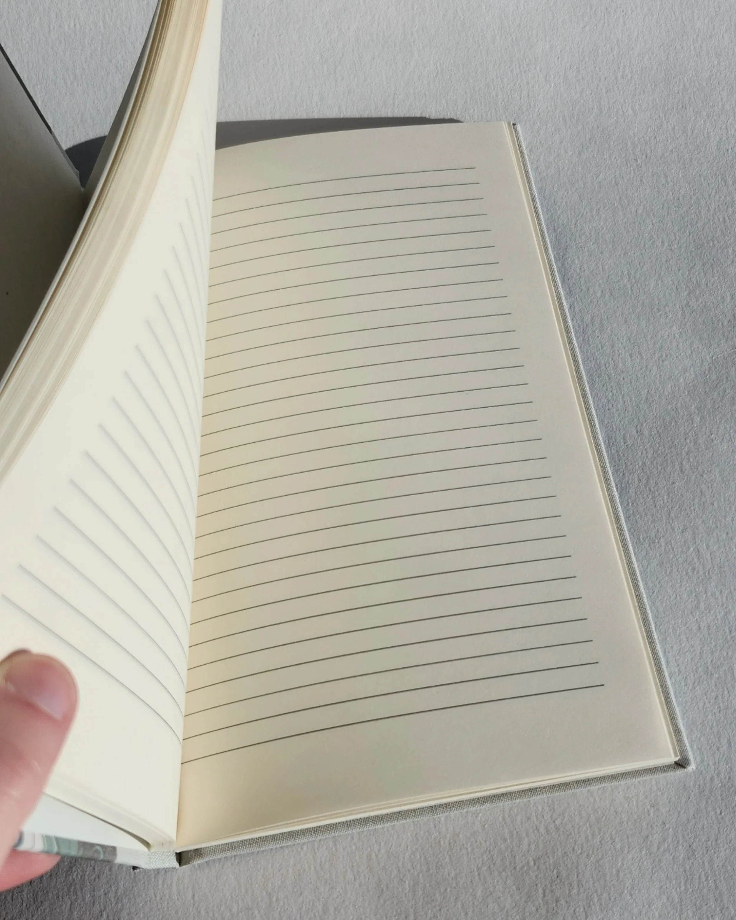 processed_20251124_095637.jpg (copie)