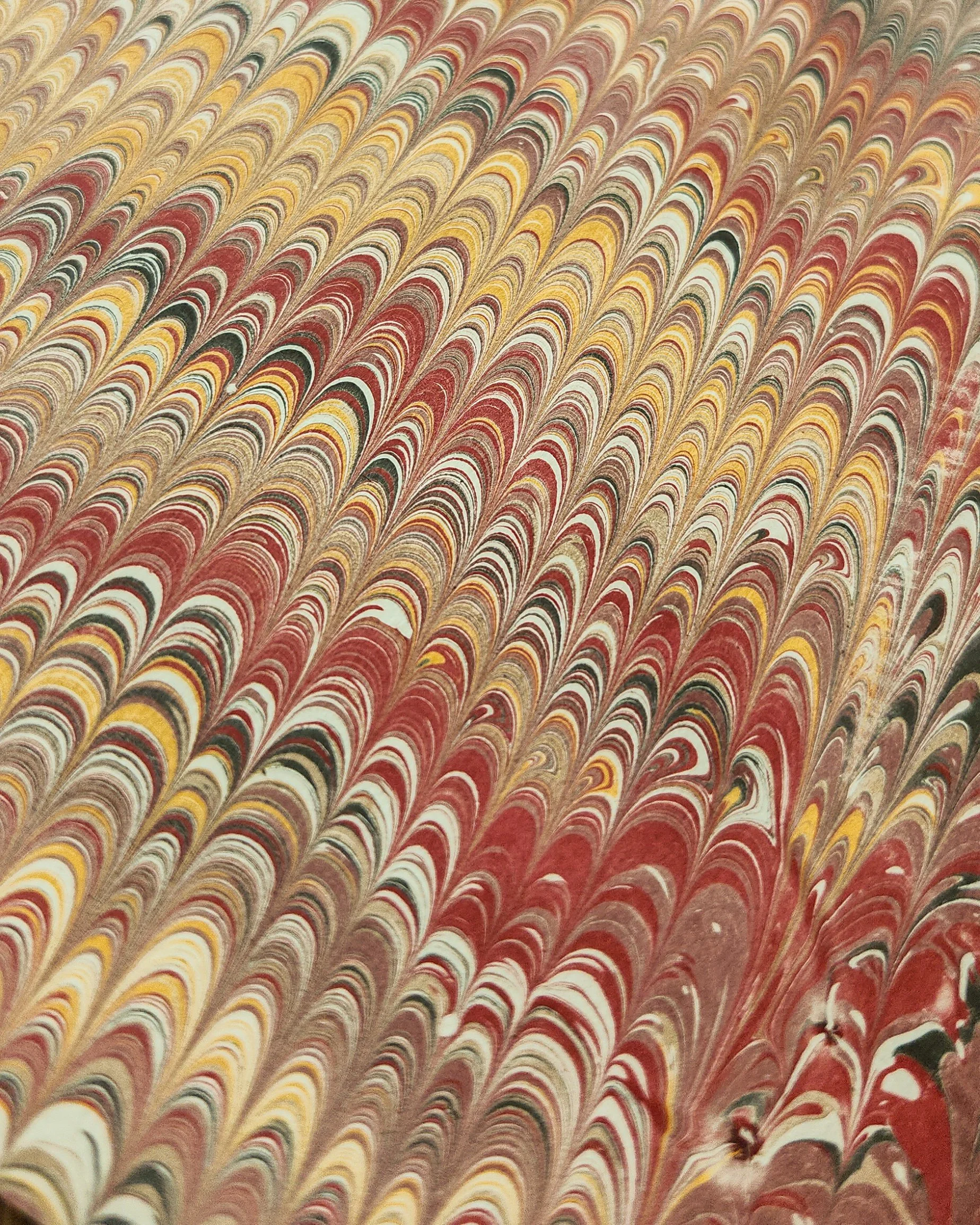 1000018252.jpg
