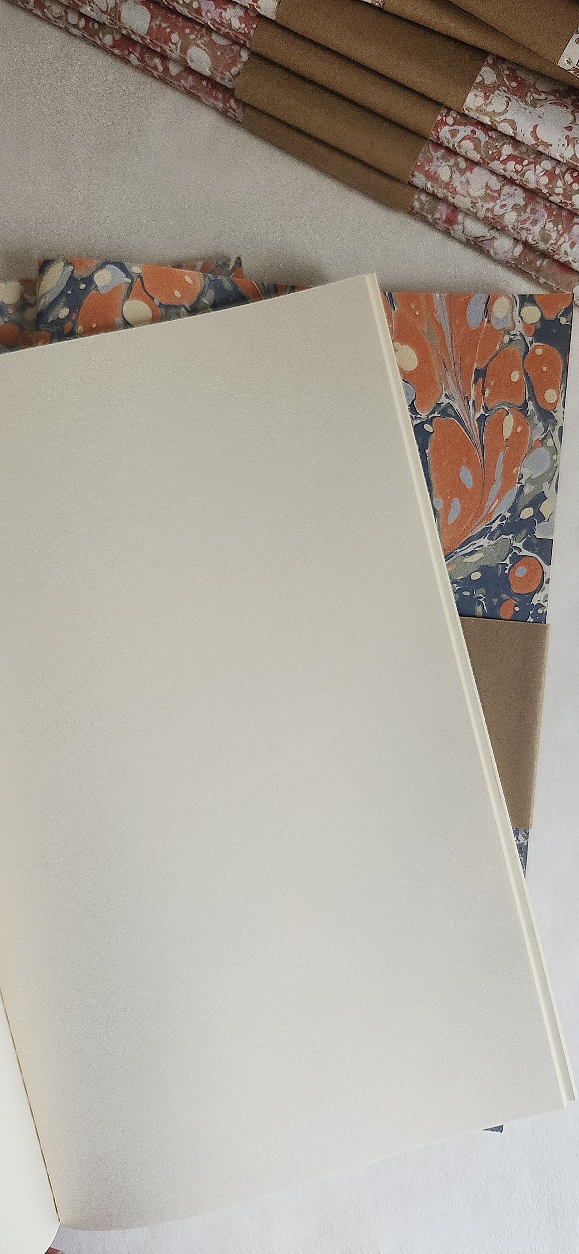 processed_1000018113.jpg (copie) (copie)