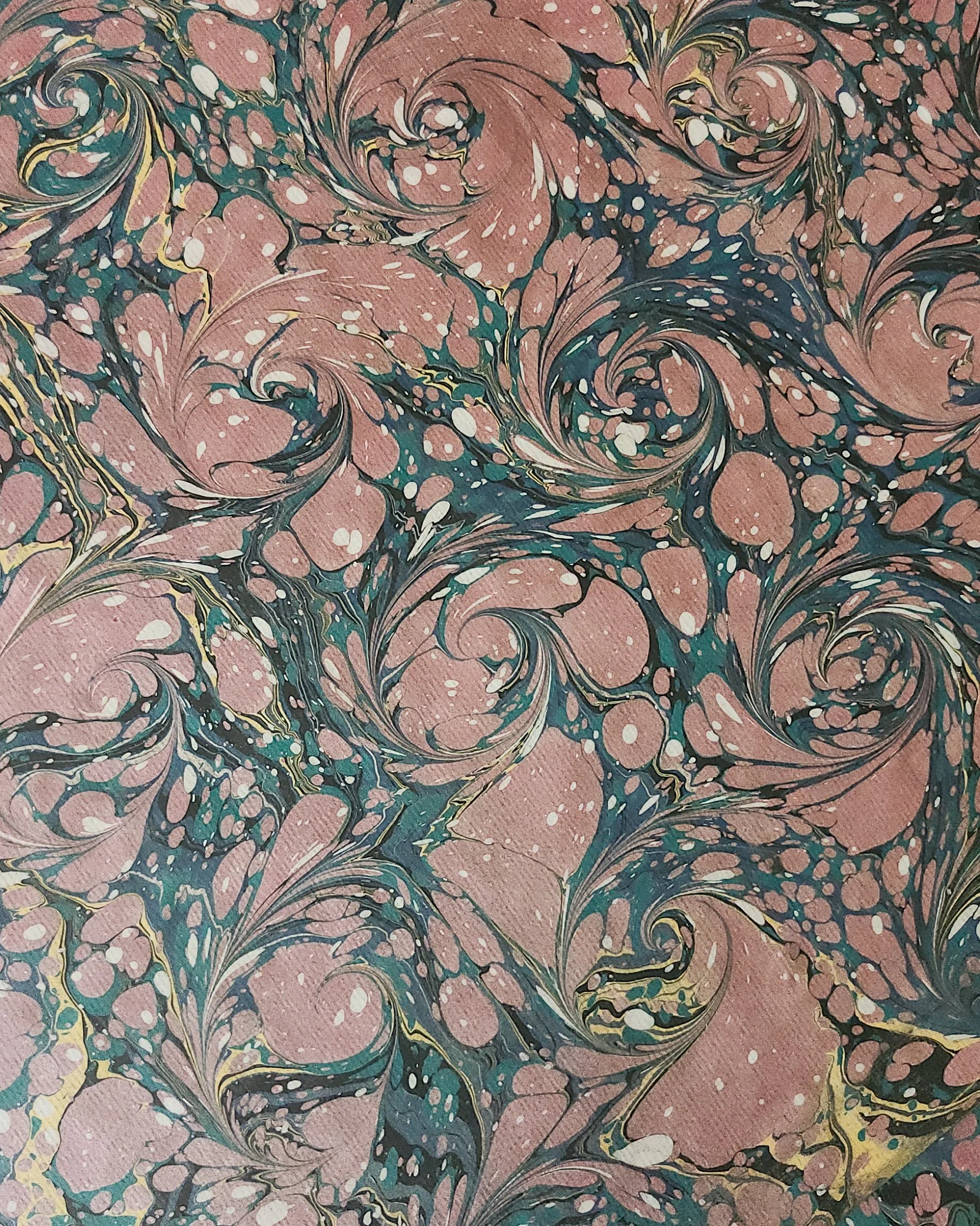 1000018246.jpg