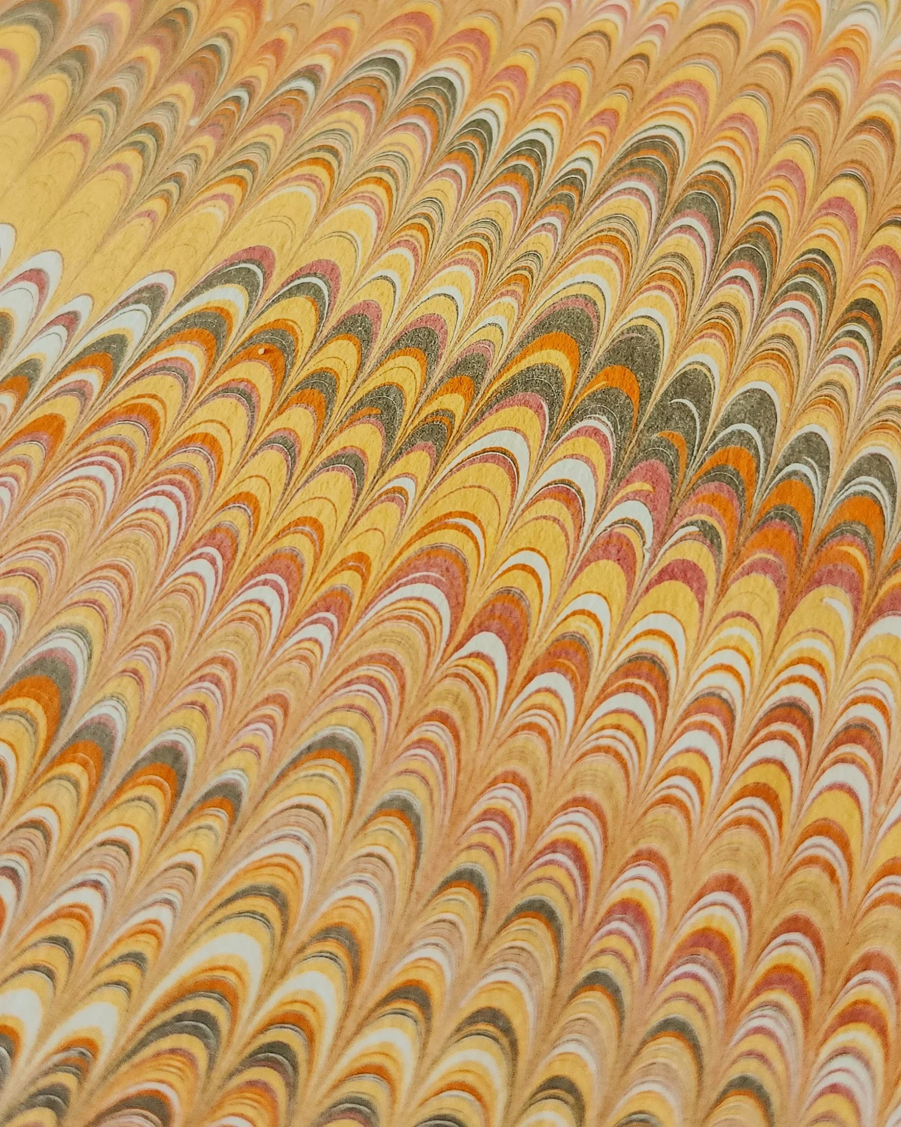 1000018253.jpg