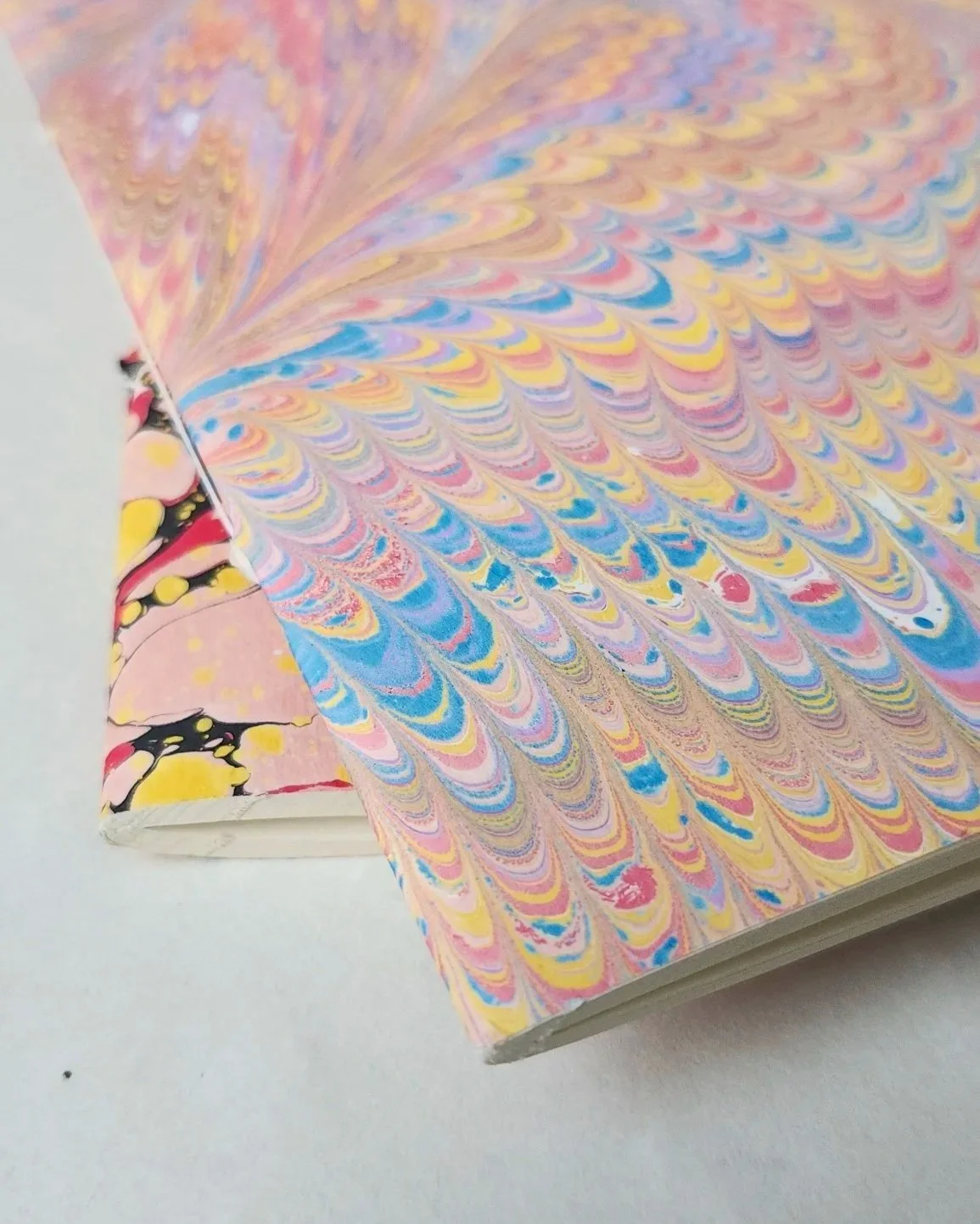 processed_20260129_085429.jpg (copie)