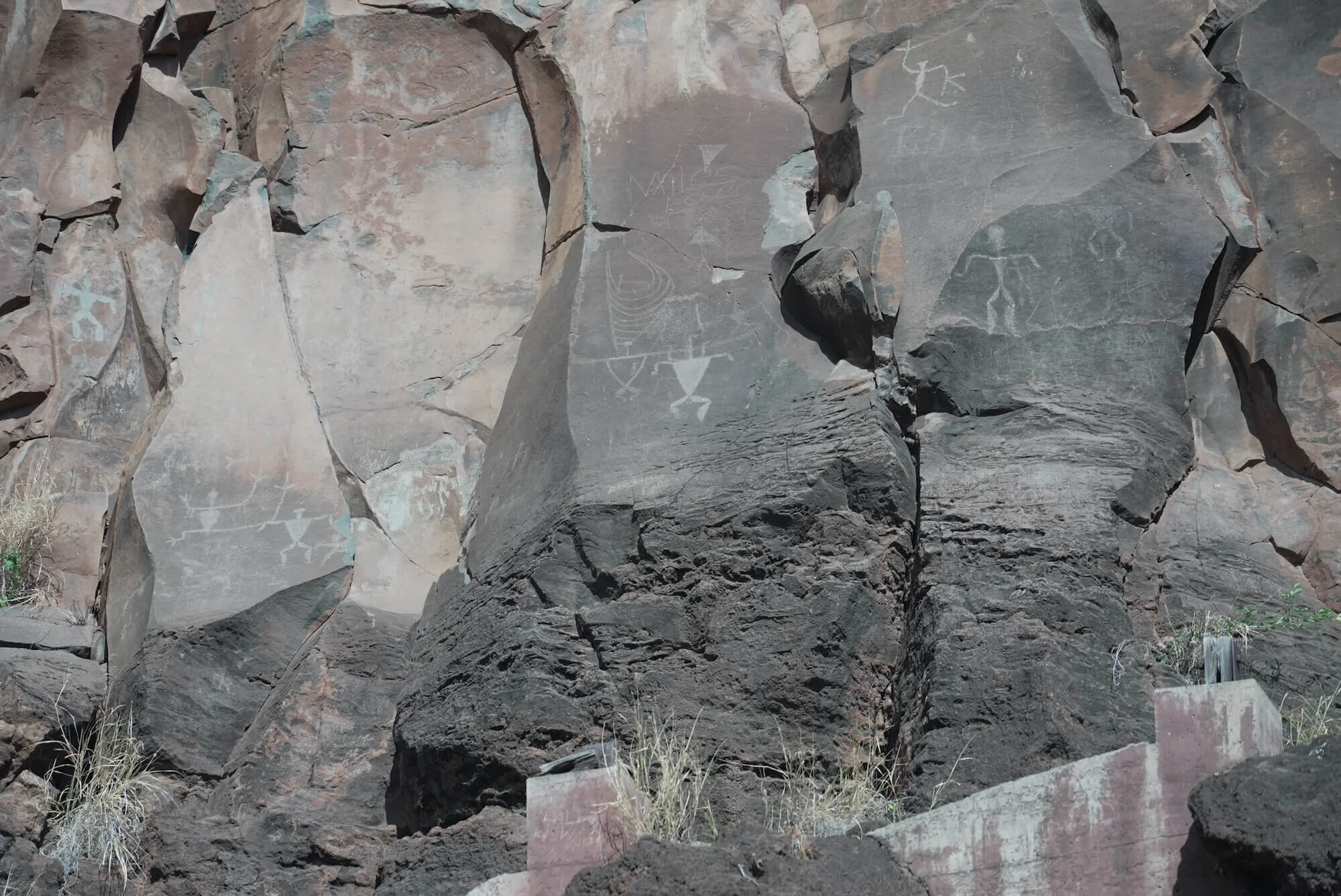 Speaking the language of the place (includes plant / animal / ecosystem literacy)