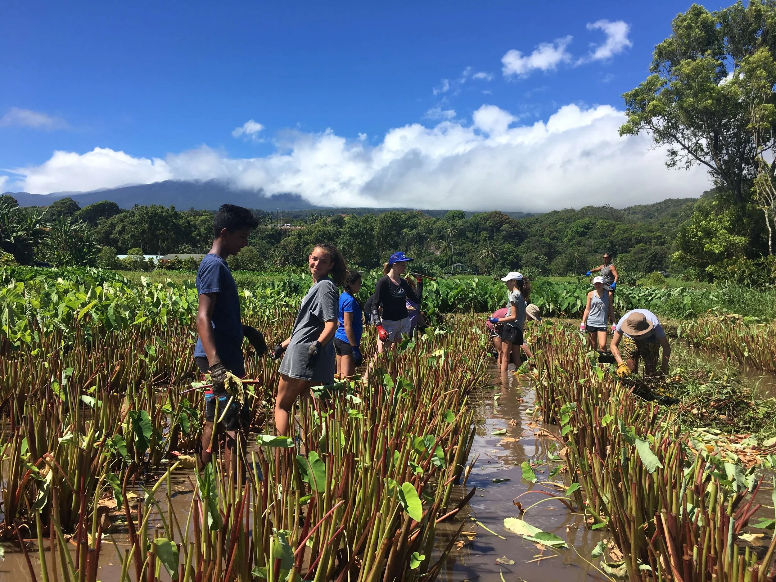 Eating food together