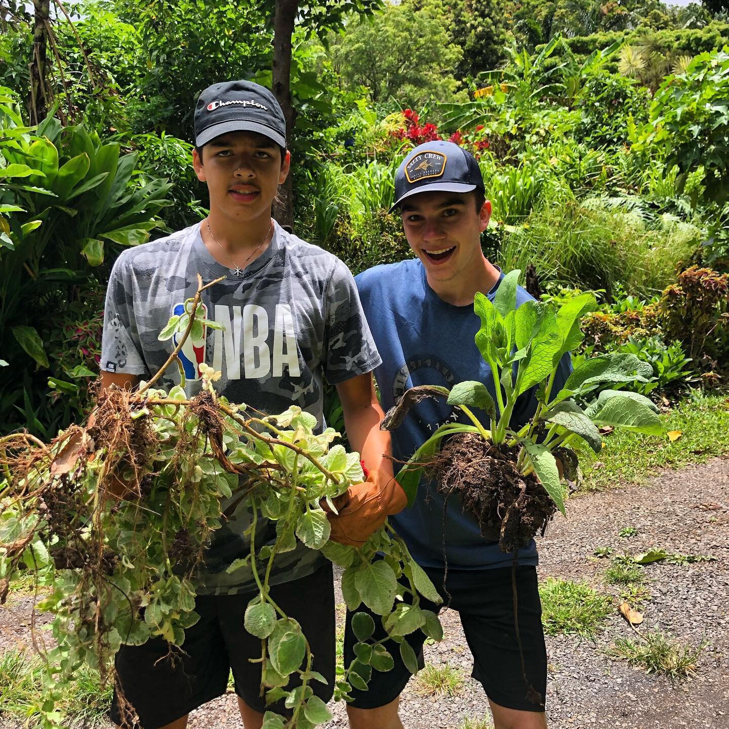 Excited to see this group again tonight for our &lsquo;awa ceremony 🔥! #harvest #plants #plantsofinstagram #medicineplants #organic #maui #mauihawaii #retreats #studenttravel #outdooreducation #volunteeronvacation #transformationaltravel