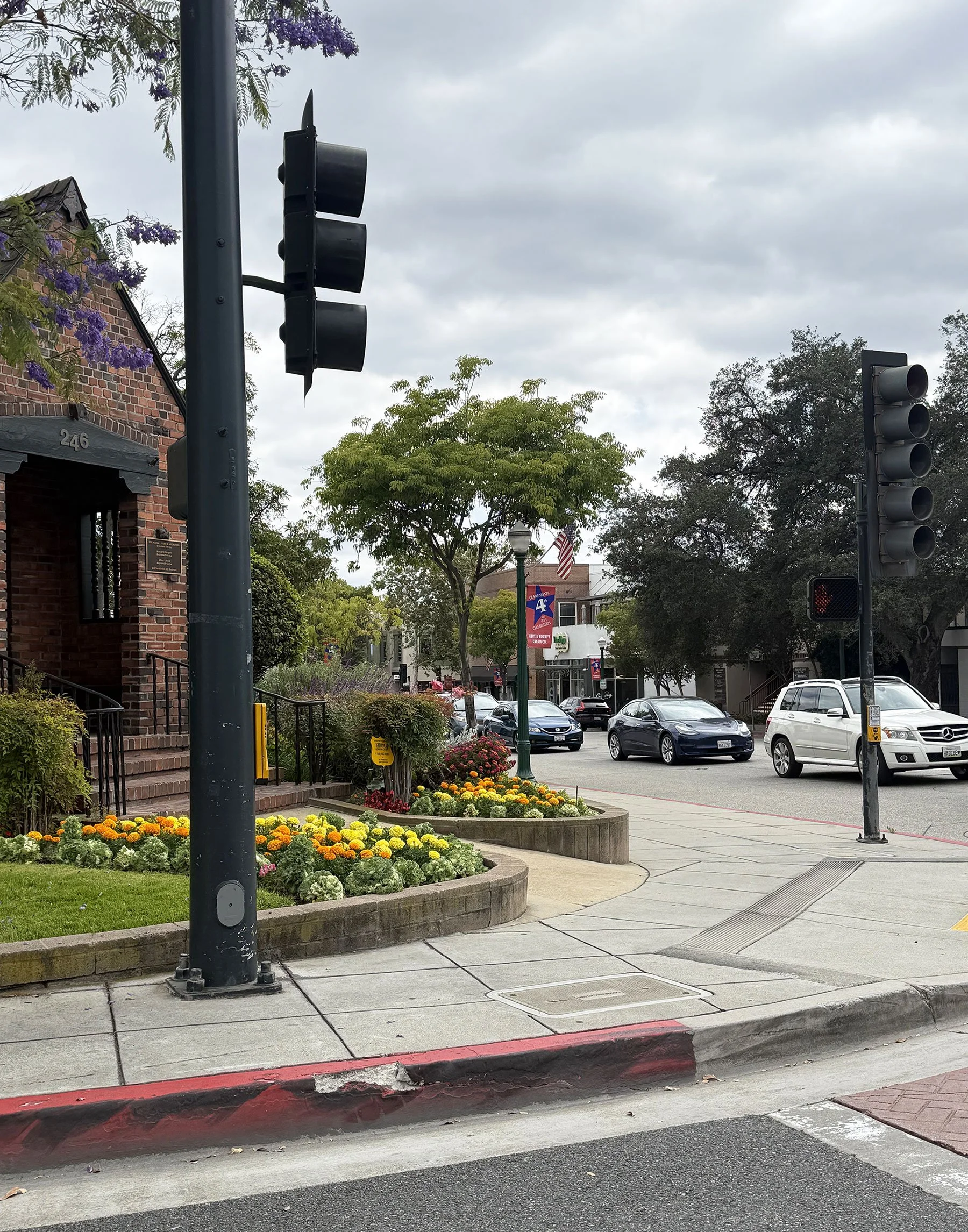 A city street corner during daytime with traffic lights, flower beds, and a sidewalk. There are cars waiting at a red traffic light and trees with purple and green leaves. Buildings and American flags are visible in the background.