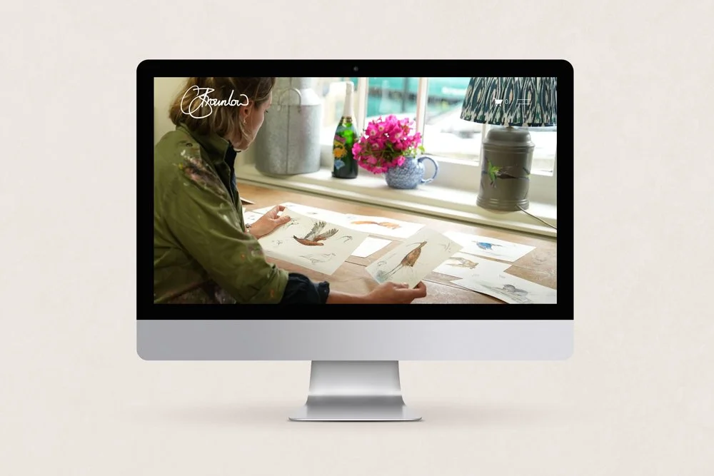 Clare Brownlow | Pheasant Feather Art (Branding) (Websites)