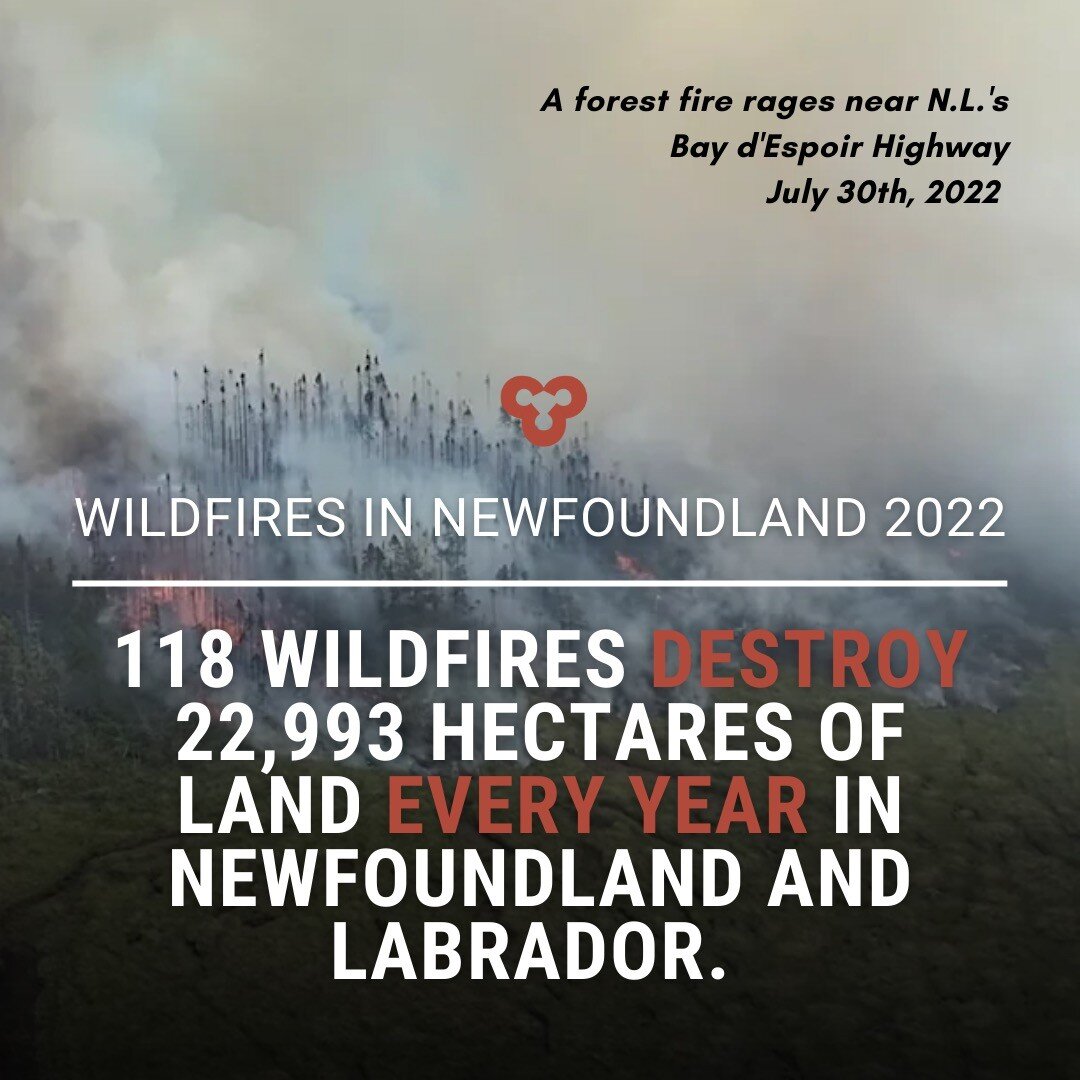 With our climate rapidly changing, forest fires, especially in vulnerable regions like Newfoundland and Labrador, will become more frequent and severe occurrences.

We can already see this happening, with Newfoundland having recently experienced some