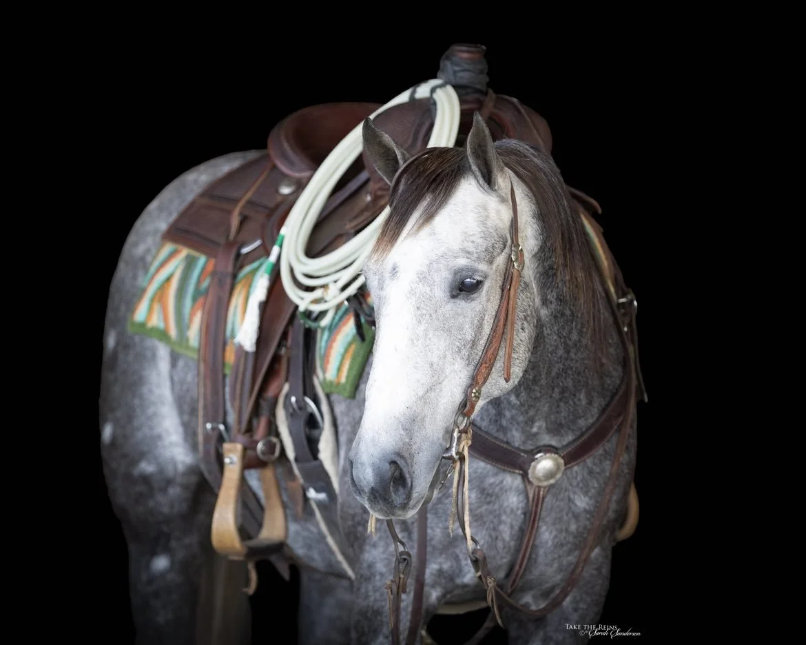 Rodeo World Las Vegas